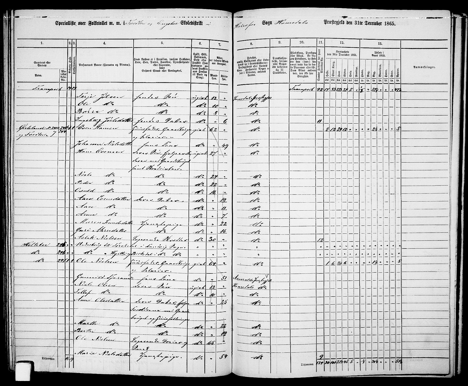 RA, 1865 census for Homedal, 1865, p. 147