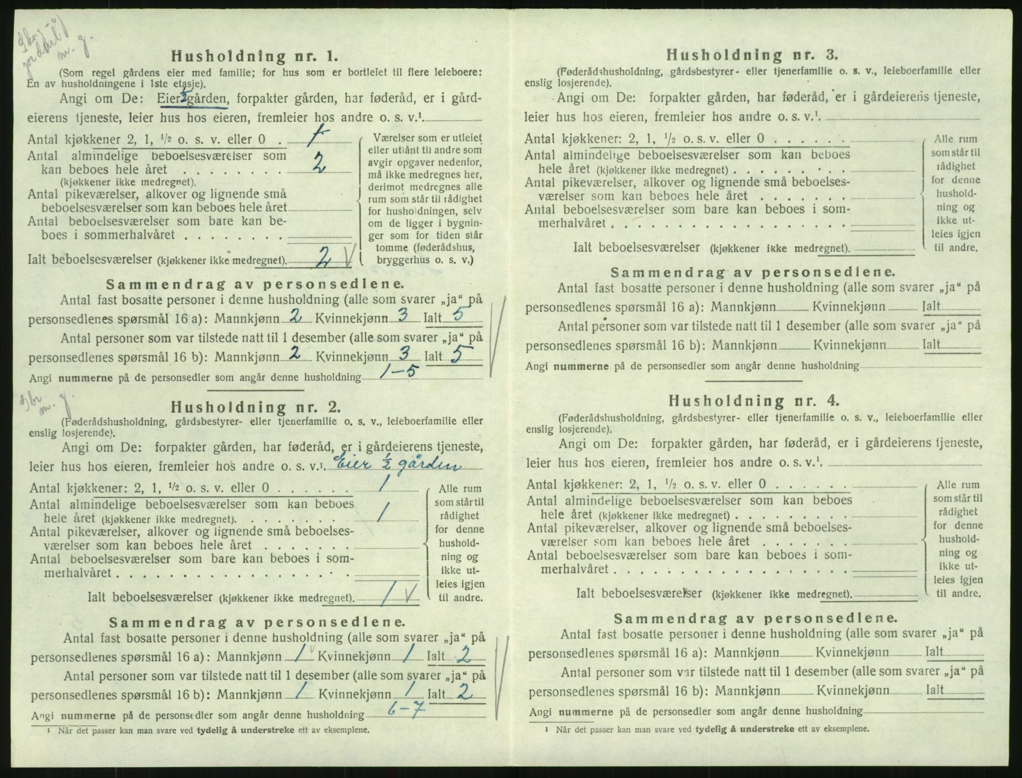 SAK, 1920 census for Hornnes, 1920, p. 276