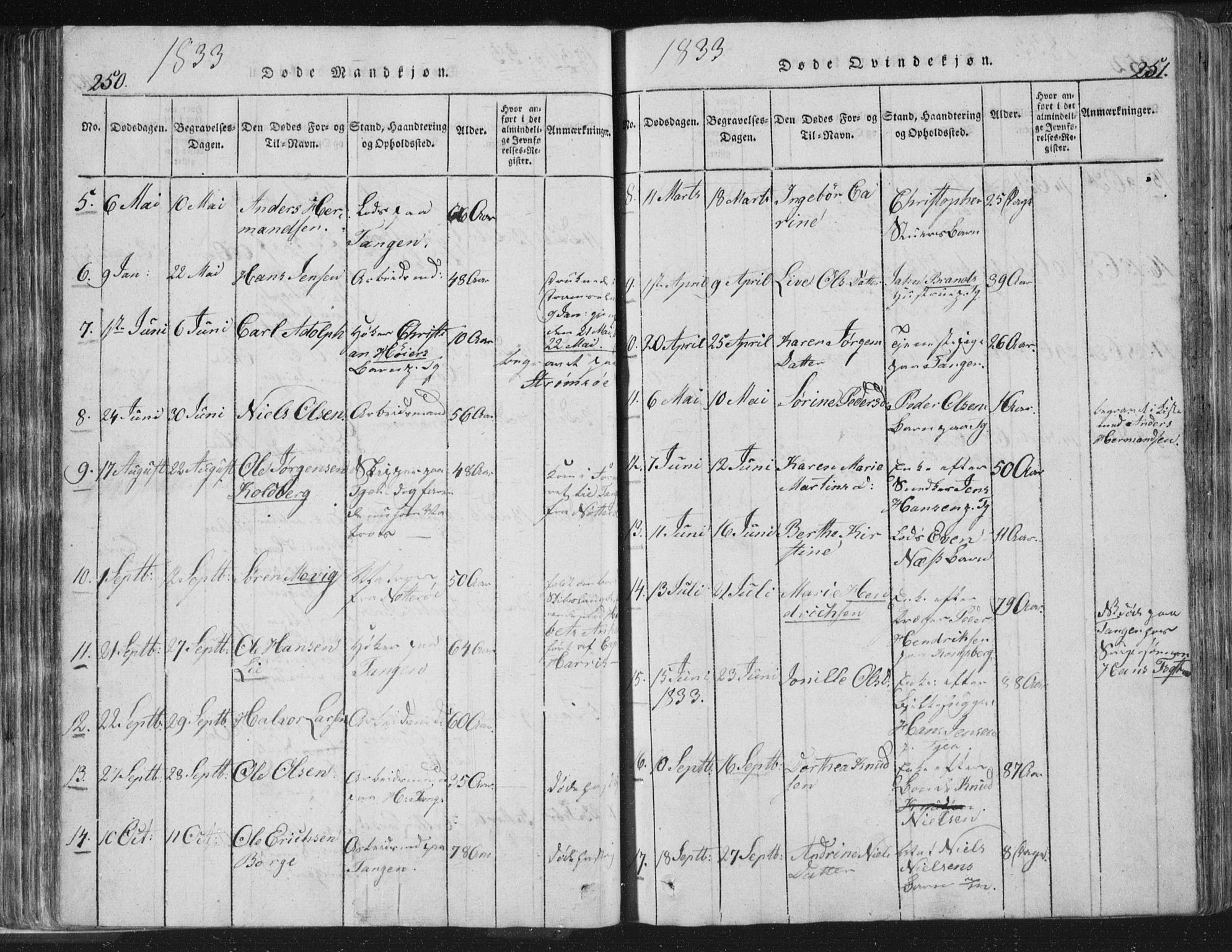 Strømsø kirkebøker, AV/SAKO-A-246/F/Fb/L0004: Parish register (official) no. II 4, 1814-1843, p. 250-251