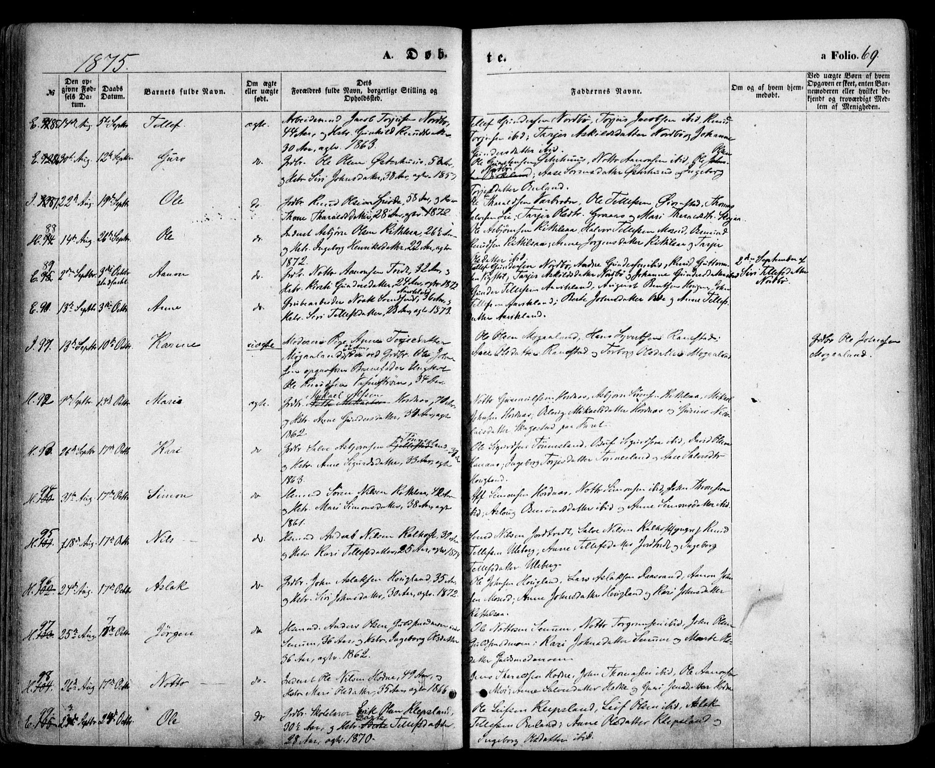 Evje sokneprestkontor, AV/SAK-1111-0008/F/Fa/Faa/L0006: Parish register (official) no. A 6, 1866-1884, p. 69