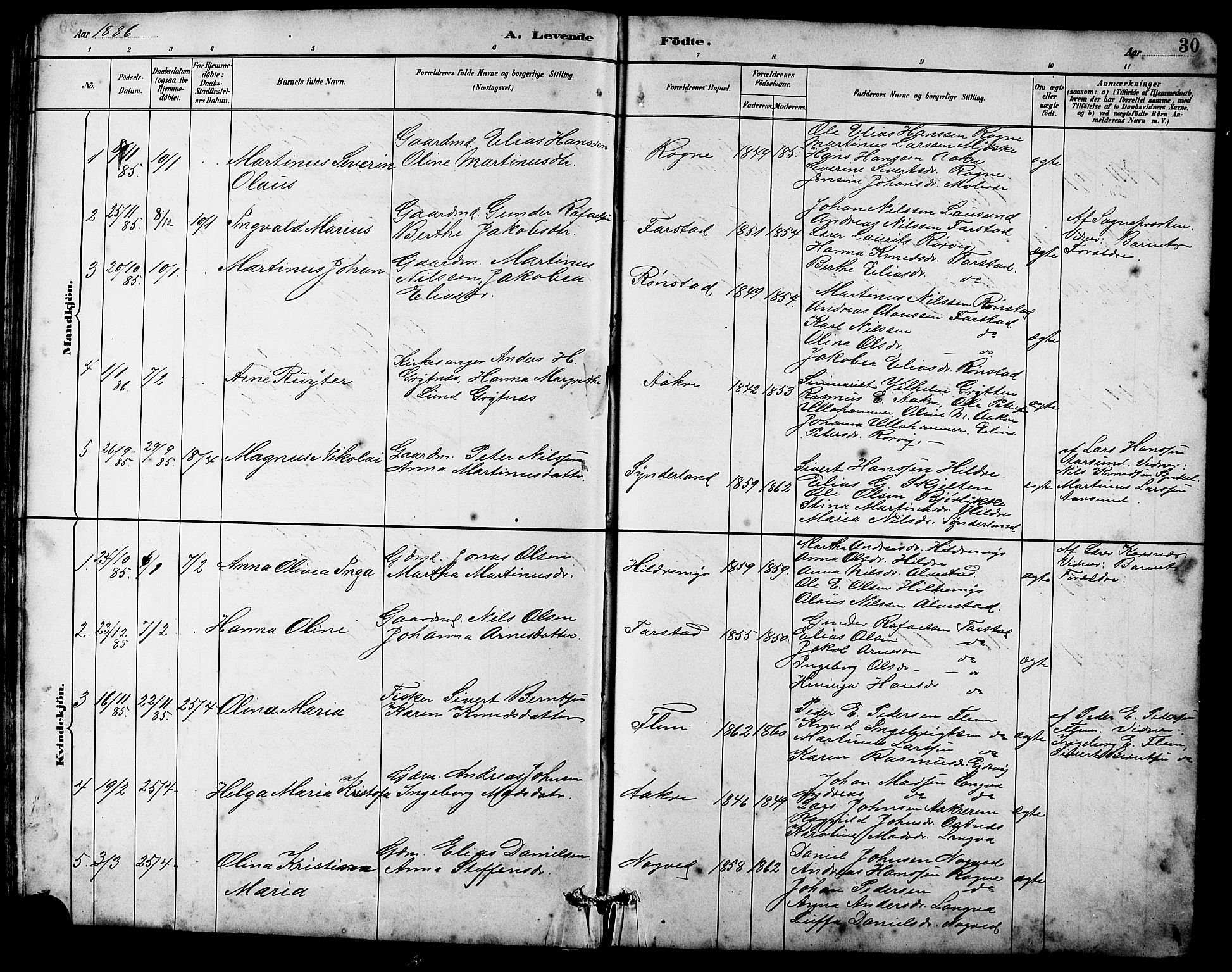 Ministerialprotokoller, klokkerbøker og fødselsregistre - Møre og Romsdal, SAT/A-1454/536/L0510: Parish register (copy) no. 536C05, 1881-1898, p. 30