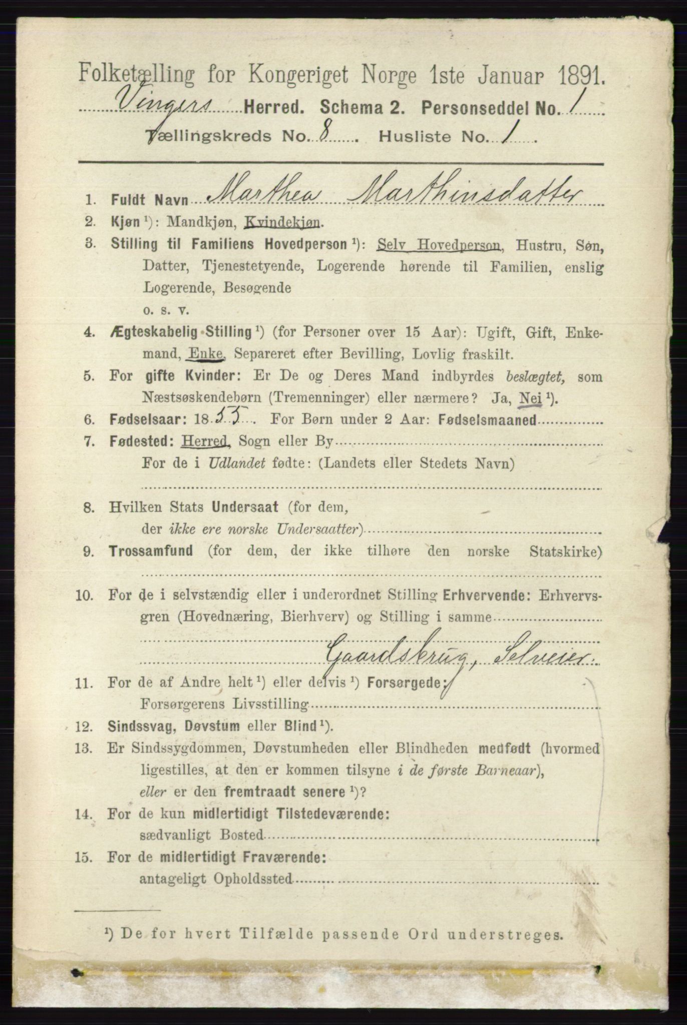 RA, 1891 census for 0421 Vinger, 1891, p. 3633