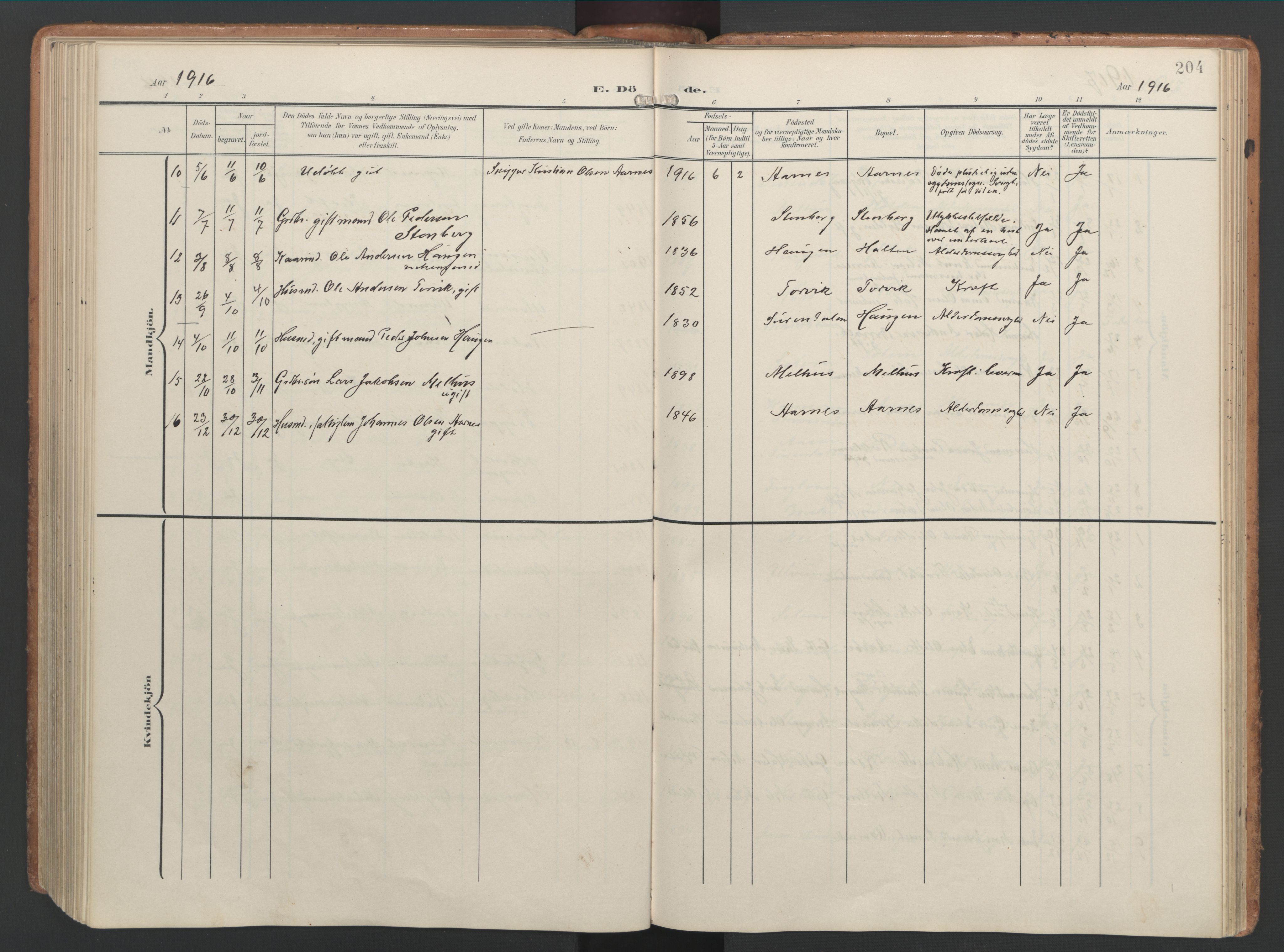 Ministerialprotokoller, klokkerbøker og fødselsregistre - Møre og Romsdal, AV/SAT-A-1454/592/L1030: Parish register (official) no. 592A08, 1901-1925, p. 204