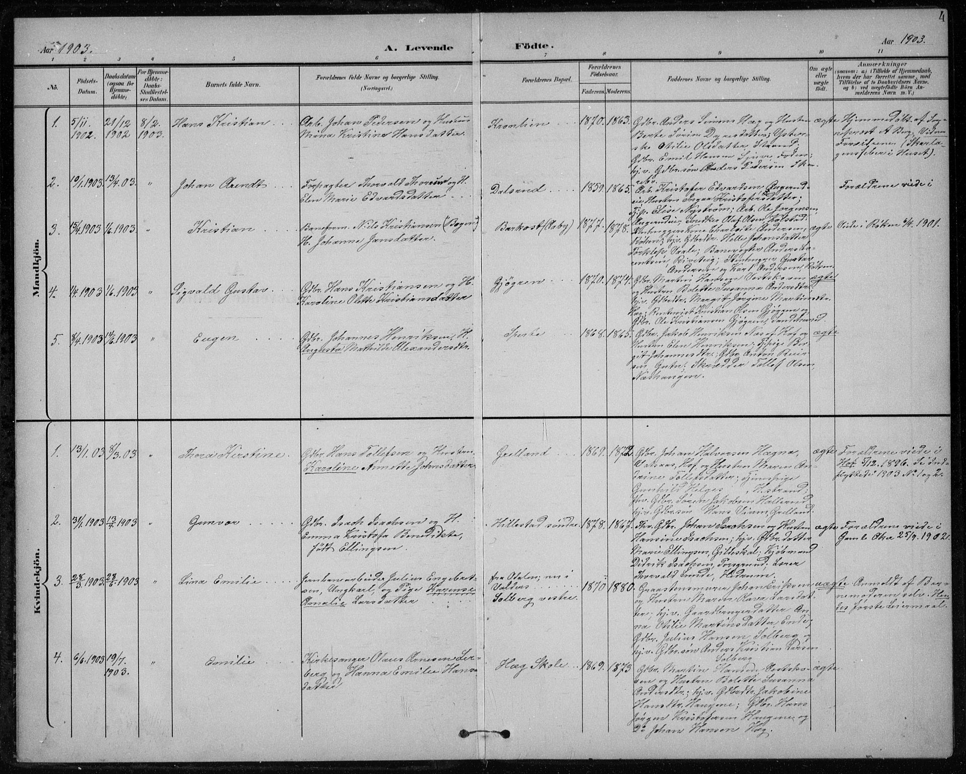 Botne kirkebøker, SAKO/A-340/F/Fb/L0002: Parish register (official) no. II 2, 1902-1915, p. 4