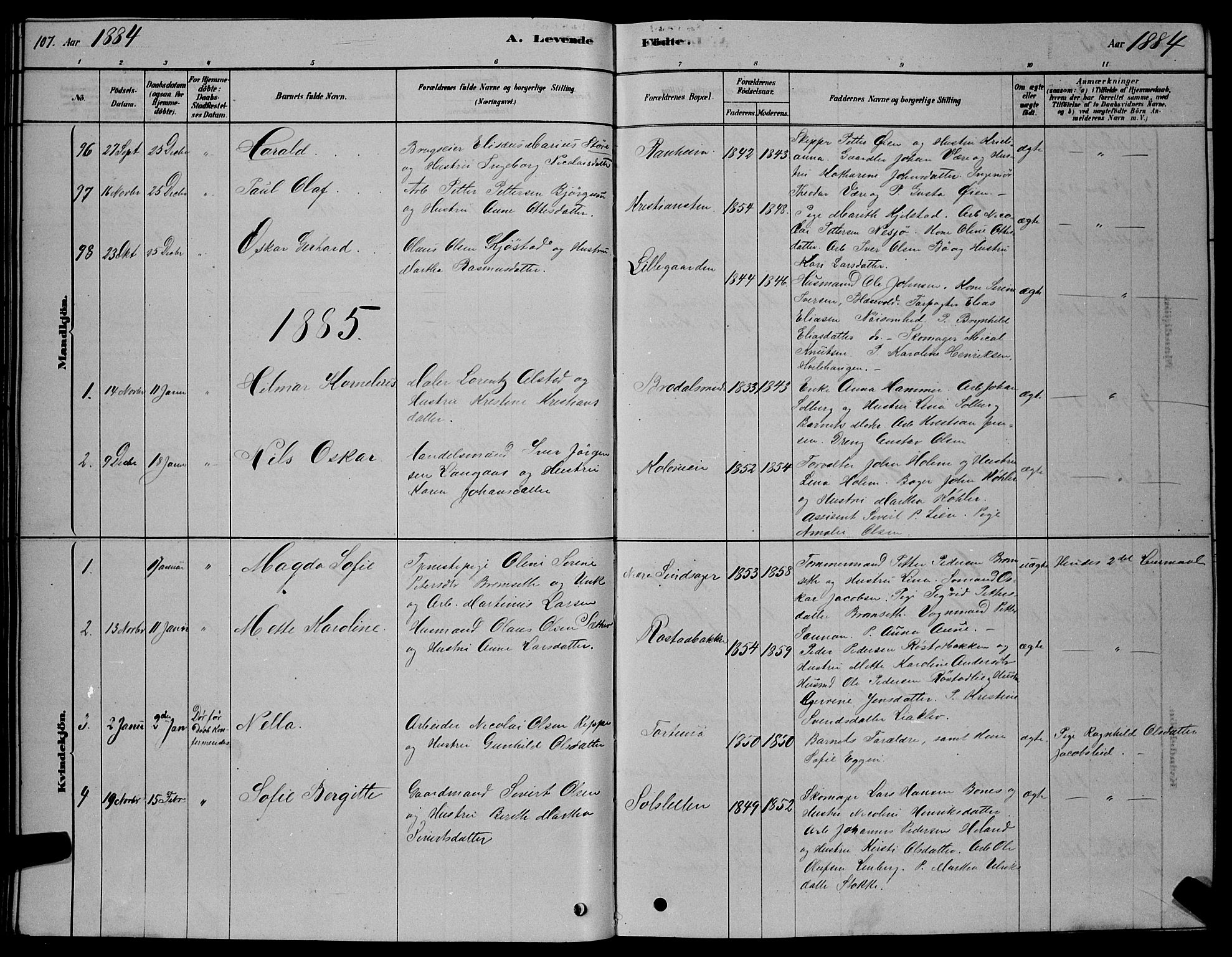 Ministerialprotokoller, klokkerbøker og fødselsregistre - Sør-Trøndelag, SAT/A-1456/606/L0312: Parish register (copy) no. 606C08, 1878-1894, p. 107