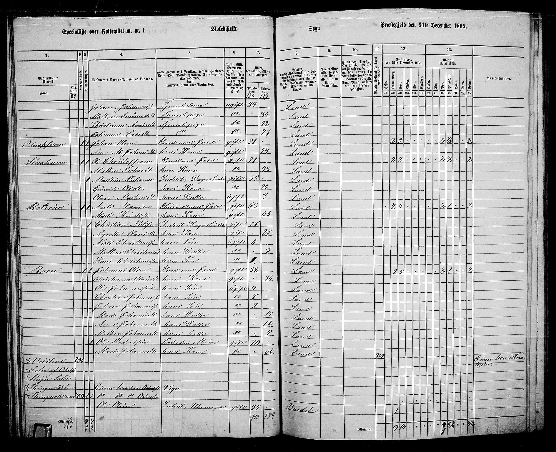 RA, 1865 census for Land, 1865, p. 252