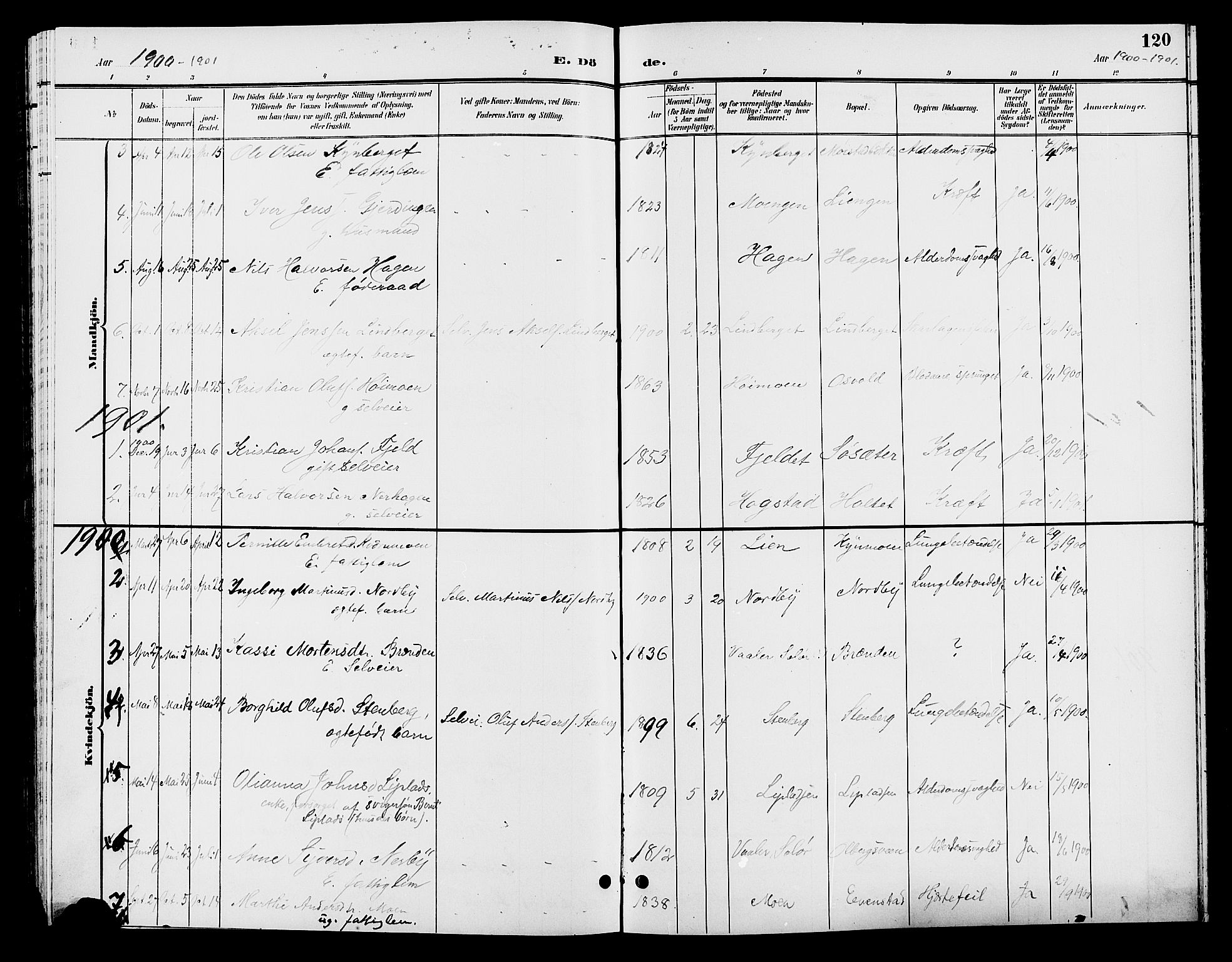 Elverum prestekontor, AV/SAH-PREST-044/H/Ha/Hab/L0006: Parish register (copy) no. 6, 1896-1907, p. 120