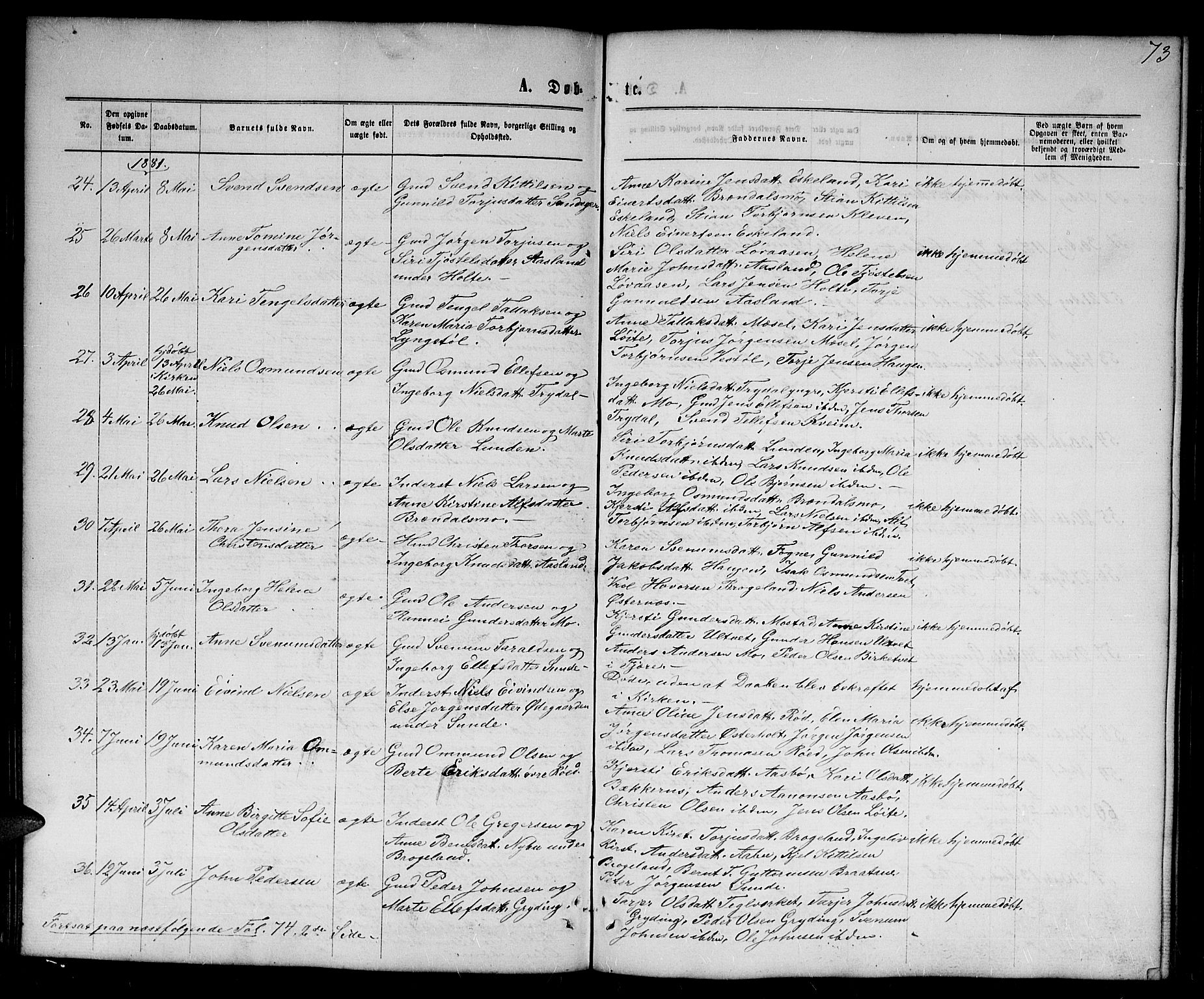 Gjerstad sokneprestkontor, SAK/1111-0014/F/Fb/Fba/L0006: Parish register (copy) no. B 6, 1868-1890, p. 73