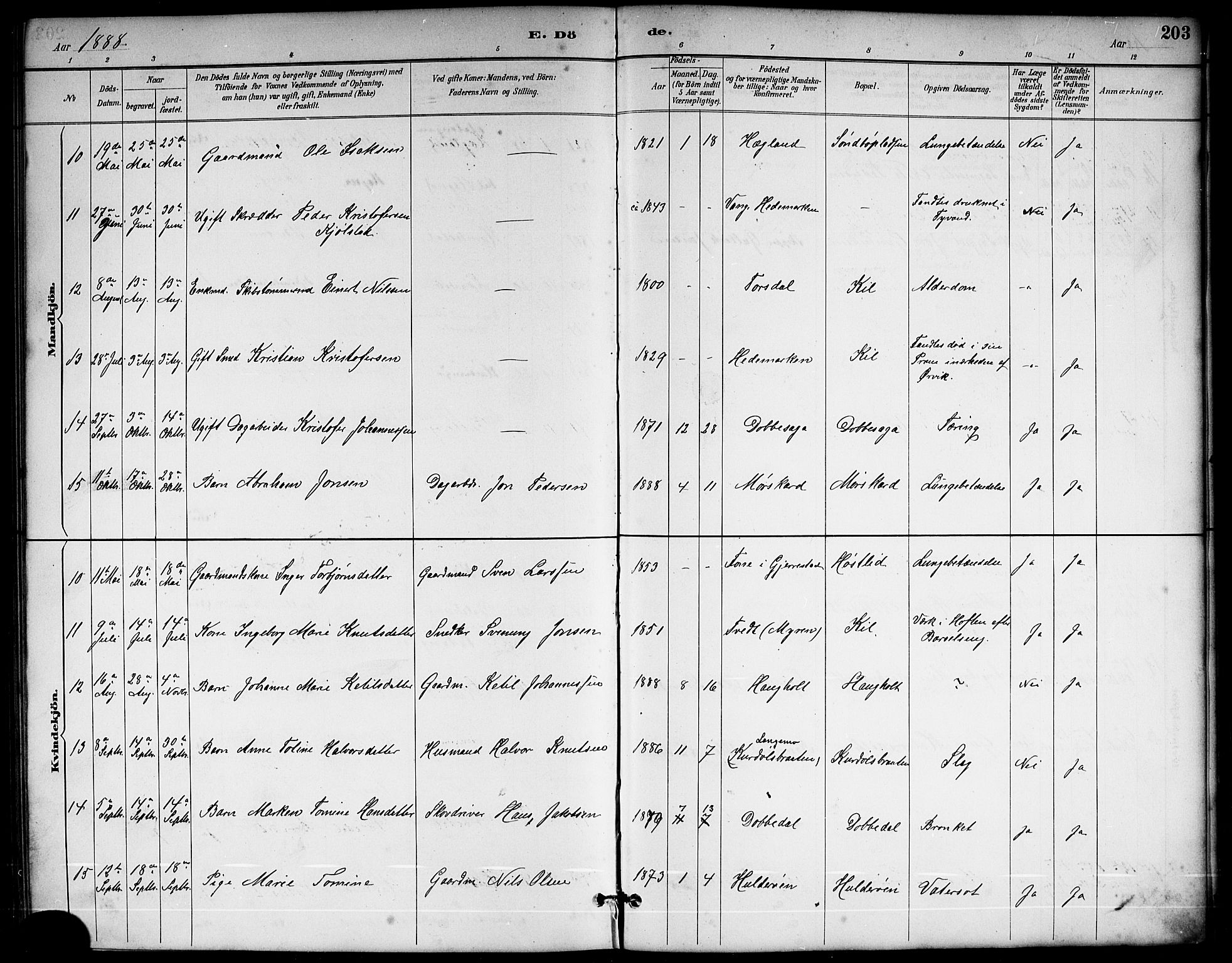 Sannidal kirkebøker, AV/SAKO-A-296/G/Ga/L0003: Parish register (copy) no. 3, 1887-1922, p. 203