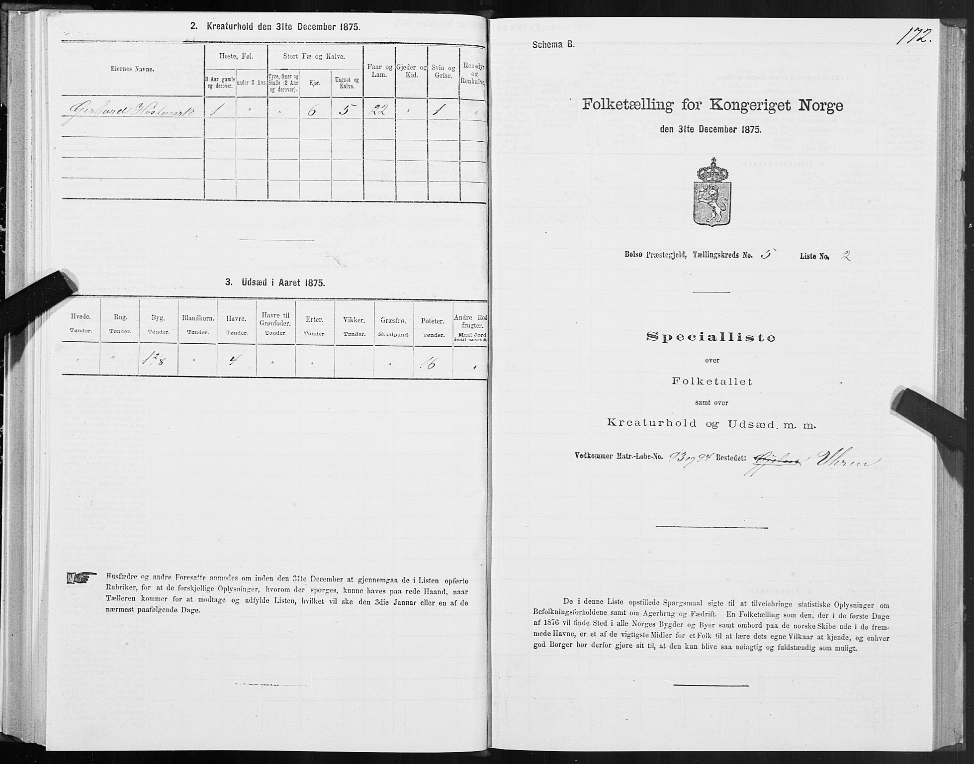 SAT, 1875 census for 1544P Bolsøy, 1875, p. 3172