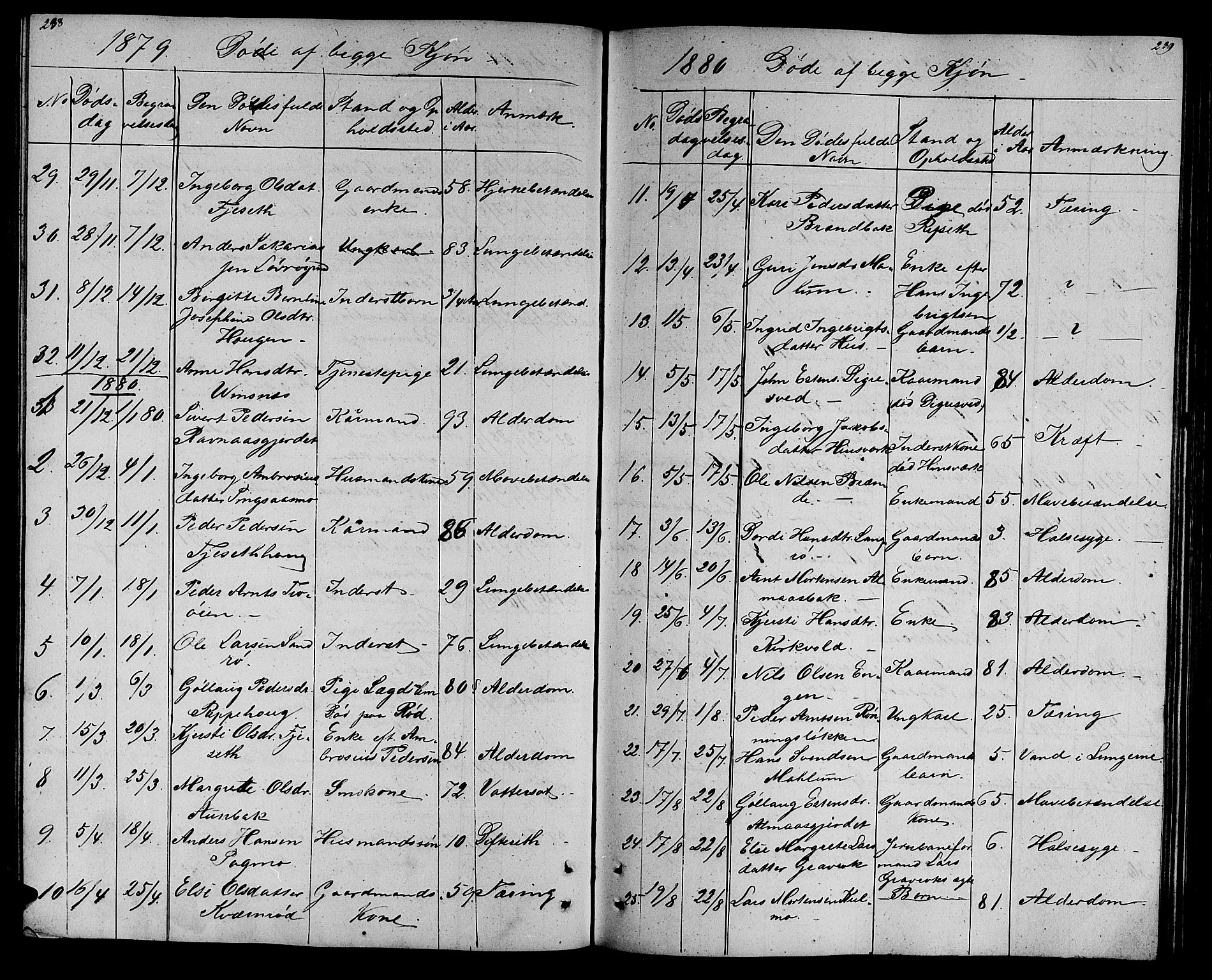 Ministerialprotokoller, klokkerbøker og fødselsregistre - Sør-Trøndelag, SAT/A-1456/688/L1027: Parish register (copy) no. 688C02, 1861-1889, p. 238-239