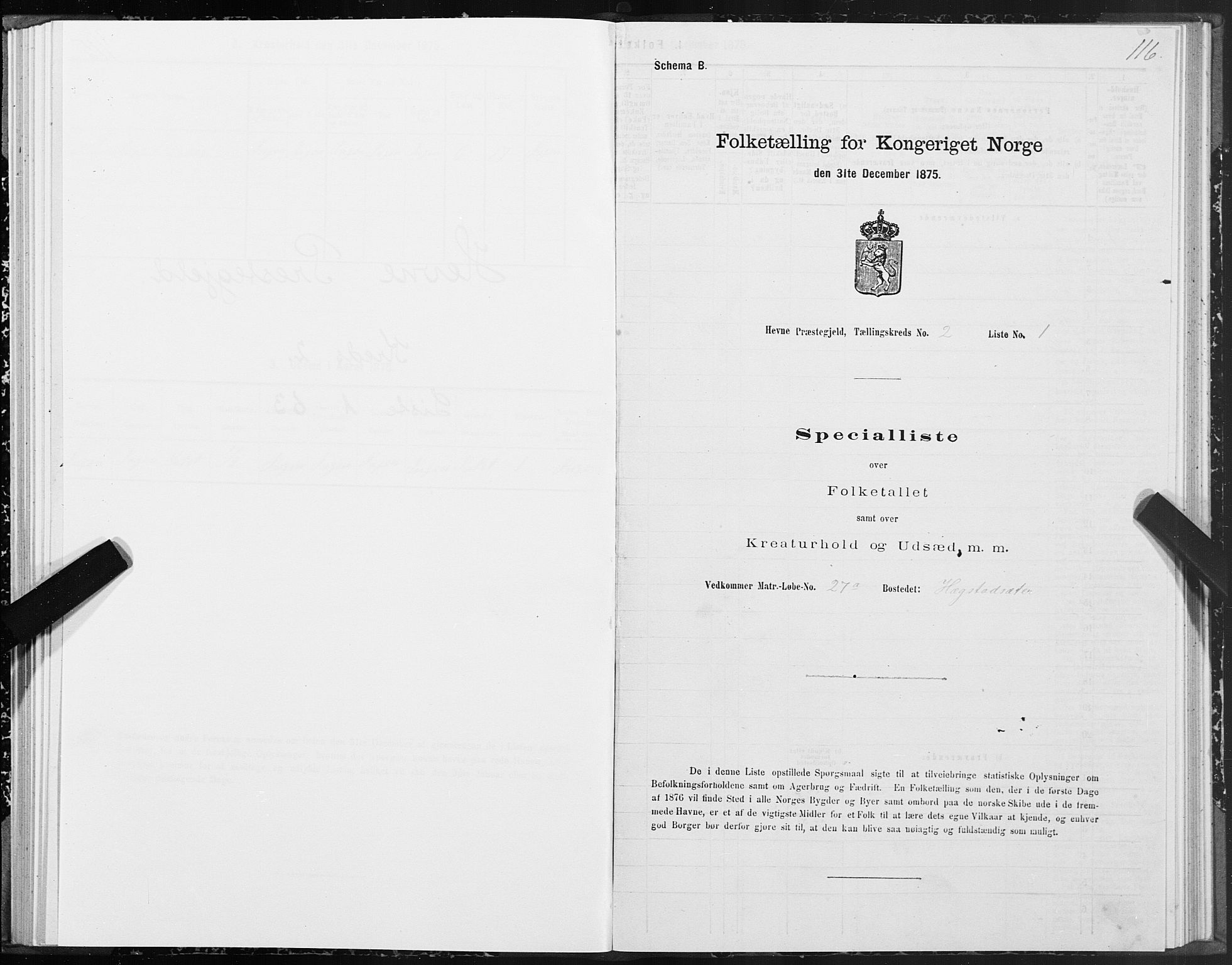 SAT, 1875 census for 1612P Hemne, 1875, p. 1116