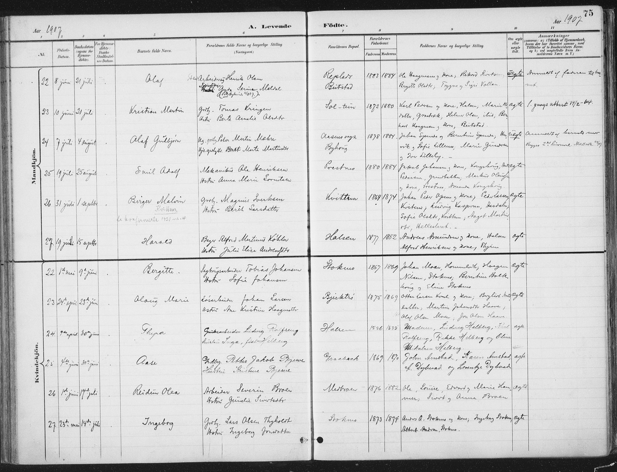 Ministerialprotokoller, klokkerbøker og fødselsregistre - Nord-Trøndelag, AV/SAT-A-1458/709/L0082: Parish register (official) no. 709A22, 1896-1916, p. 75