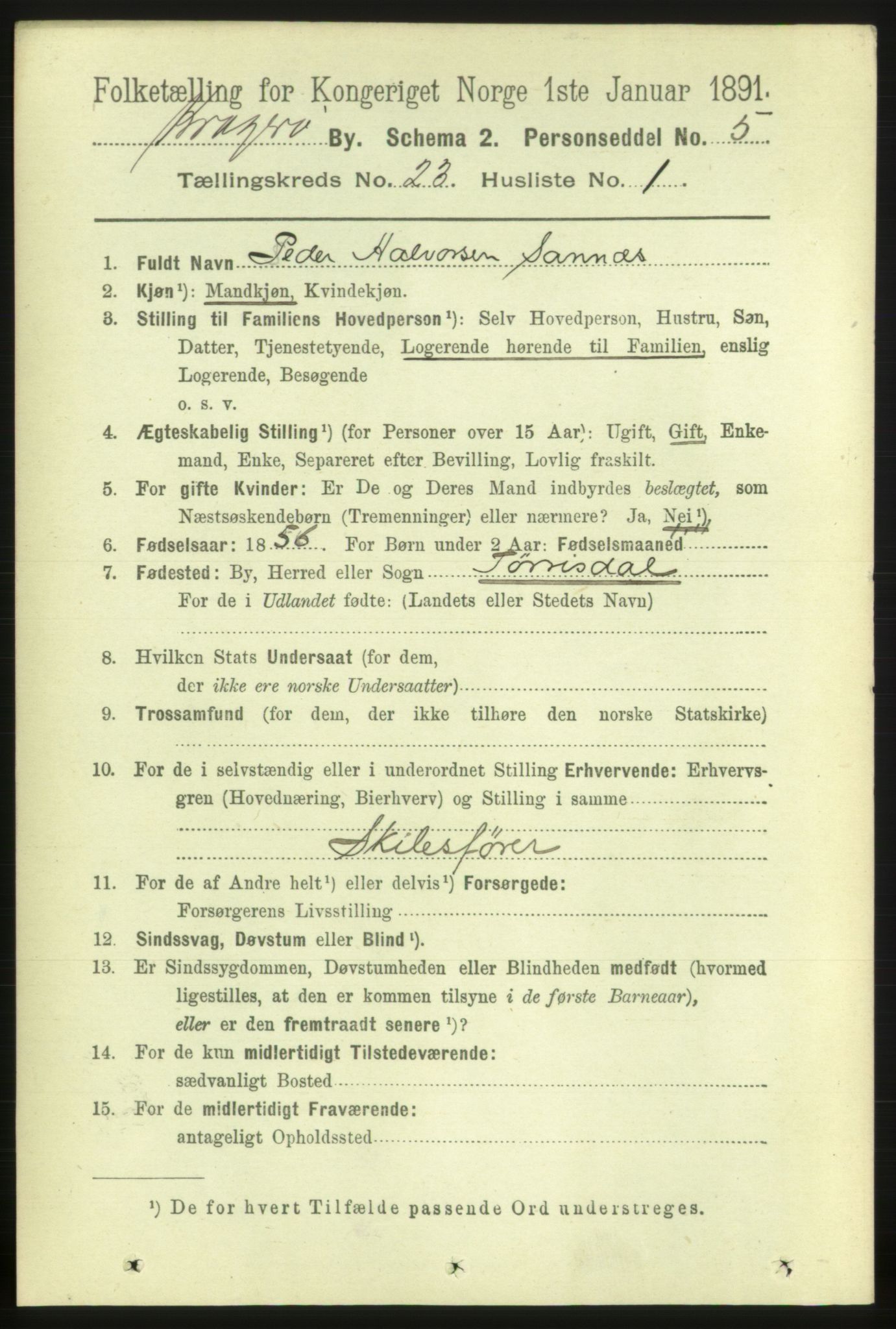 RA, 1891 census for 0801 Kragerø, 1891, p. 4882