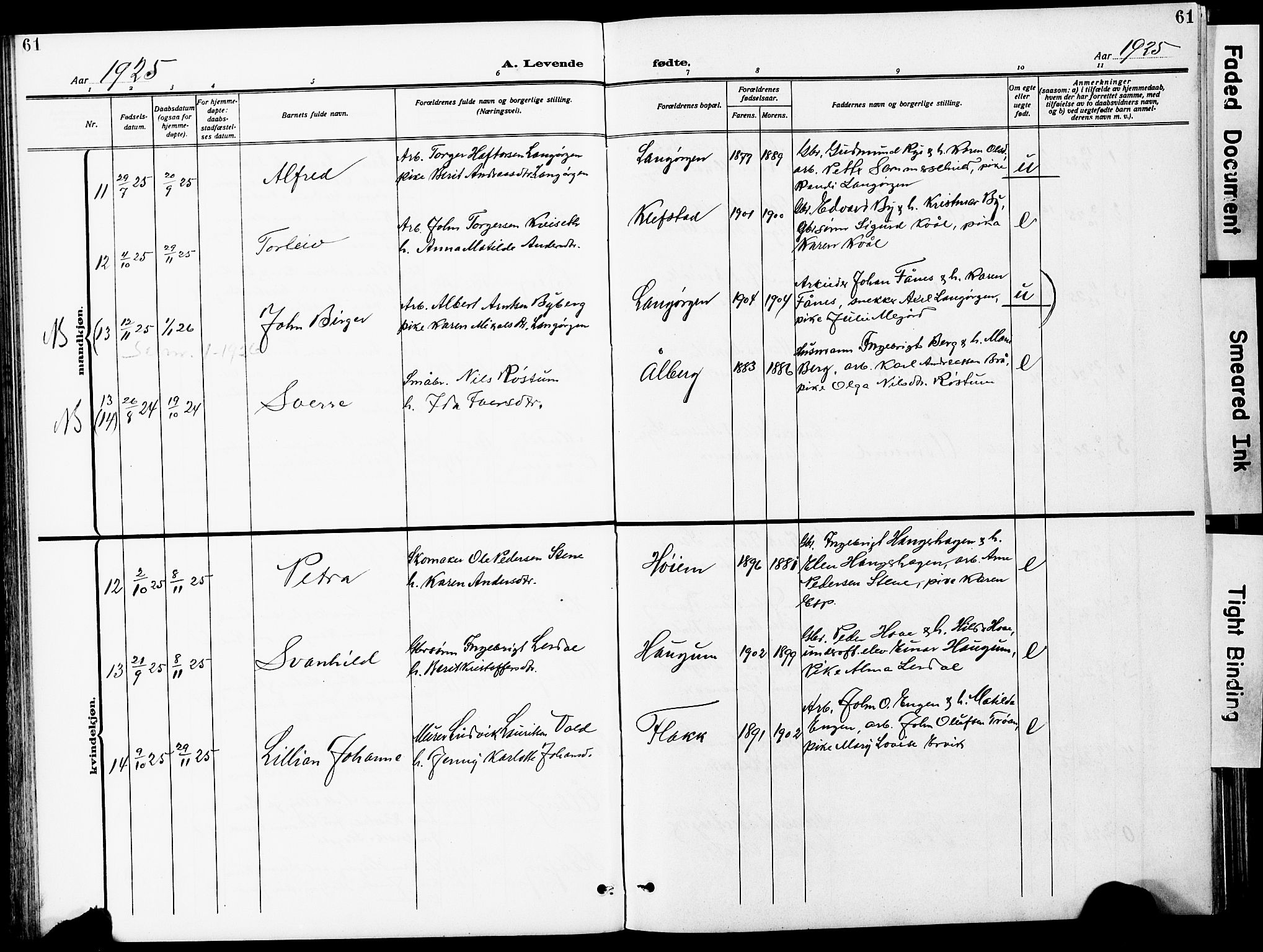 Ministerialprotokoller, klokkerbøker og fødselsregistre - Sør-Trøndelag, SAT/A-1456/612/L0388: Parish register (copy) no. 612C04, 1909-1929, p. 61