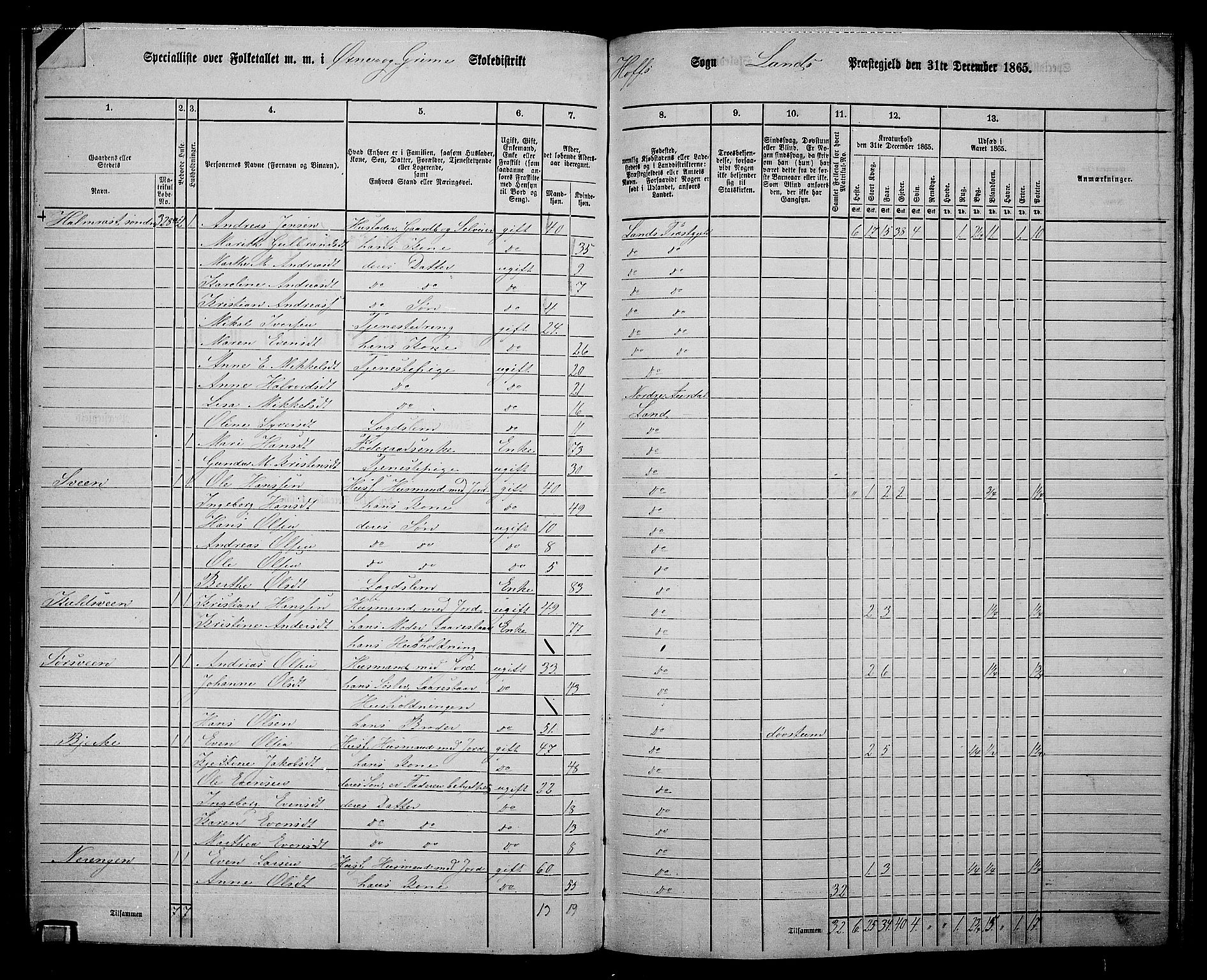 RA, 1865 census for Land, 1865, p. 375