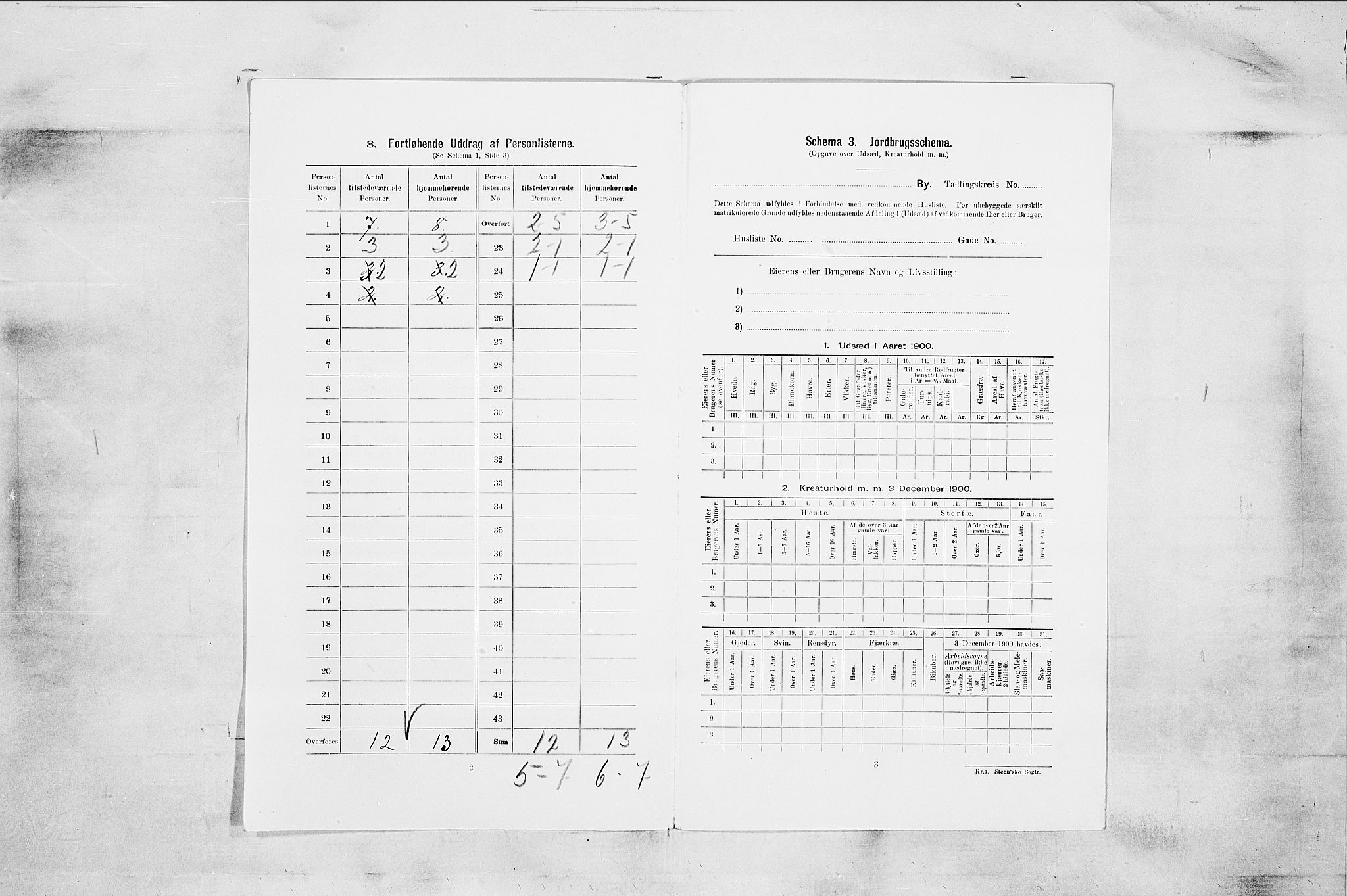 RA, 1900 census for Larvik, 1900, p. 758