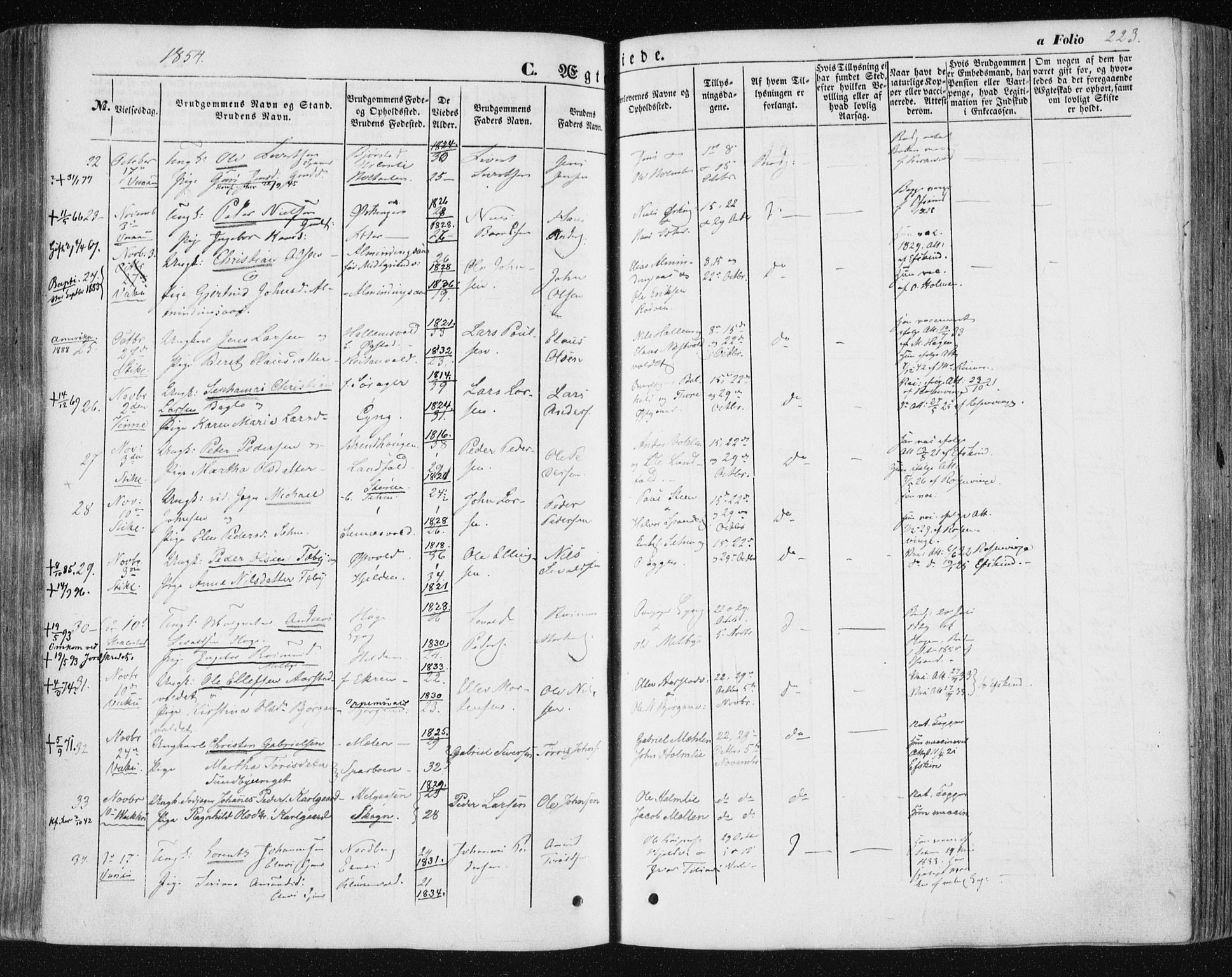 Ministerialprotokoller, klokkerbøker og fødselsregistre - Nord-Trøndelag, AV/SAT-A-1458/723/L0240: Parish register (official) no. 723A09, 1852-1860, p. 223