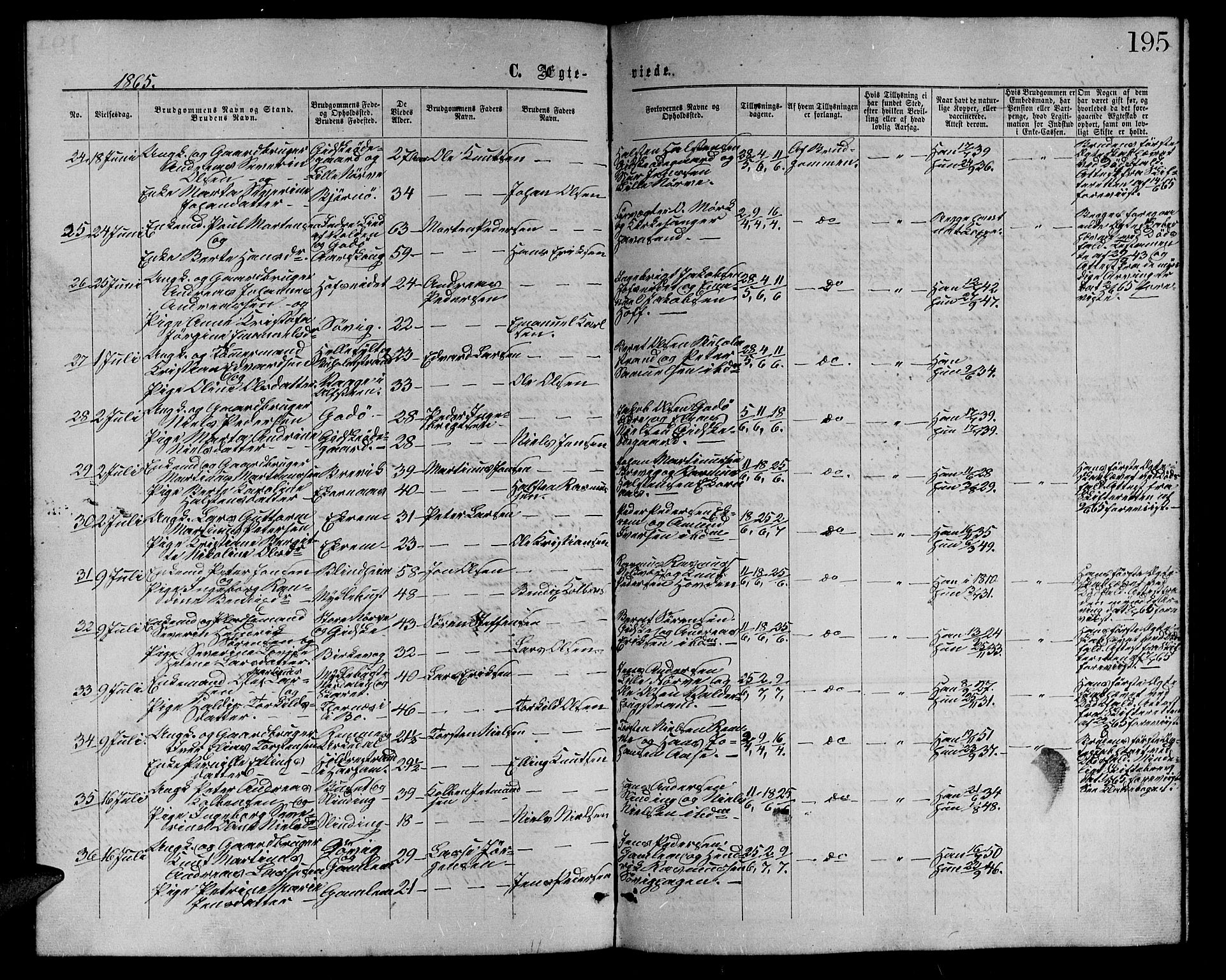 Ministerialprotokoller, klokkerbøker og fødselsregistre - Møre og Romsdal, SAT/A-1454/528/L0428: Parish register (copy) no. 528C09, 1864-1880, p. 195
