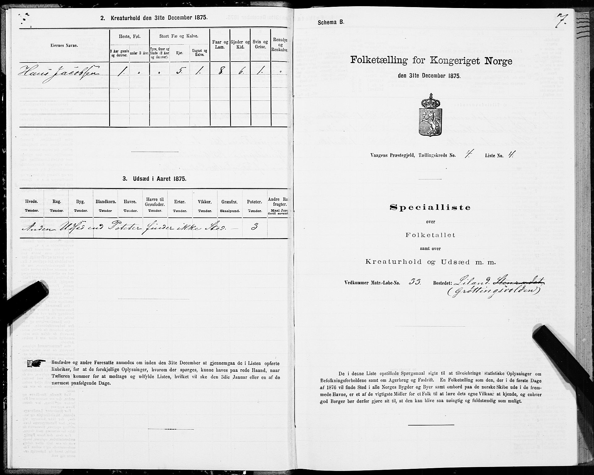 SAT, 1875 census for 1865P Vågan, 1875, p. 3007