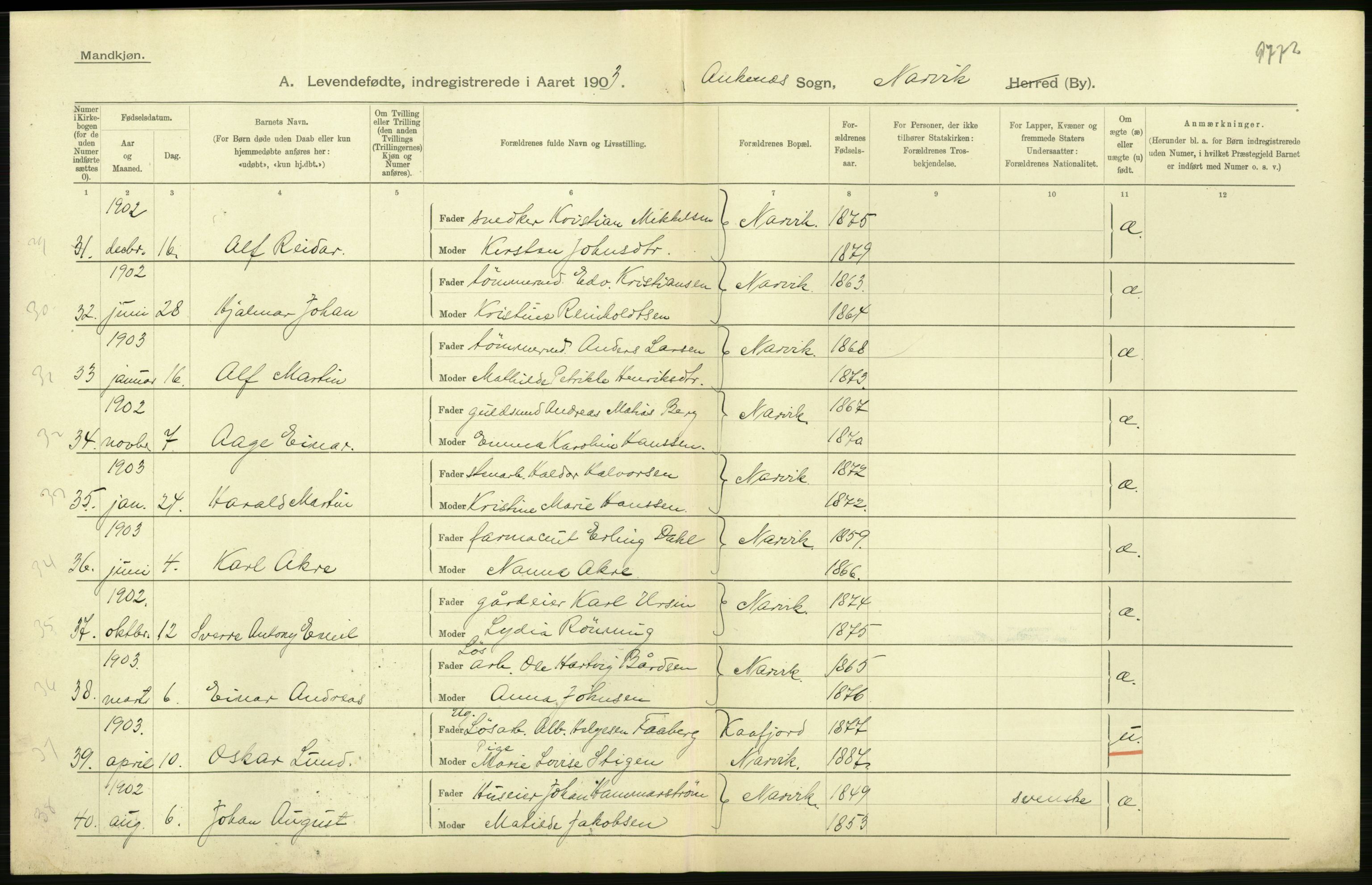 Statistisk sentralbyrå, Sosiodemografiske emner, Befolkning, AV/RA-S-2228/D/Df/Dfa/Dfaa/L0019: Nordlands amt: Fødte, gifte, døde., 1903, p. 32