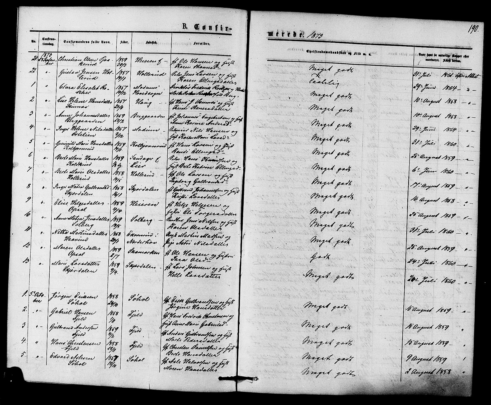 Hole kirkebøker, AV/SAKO-A-228/F/Fa/L0007: Parish register (official) no. I 7, 1873-1877, p. 190