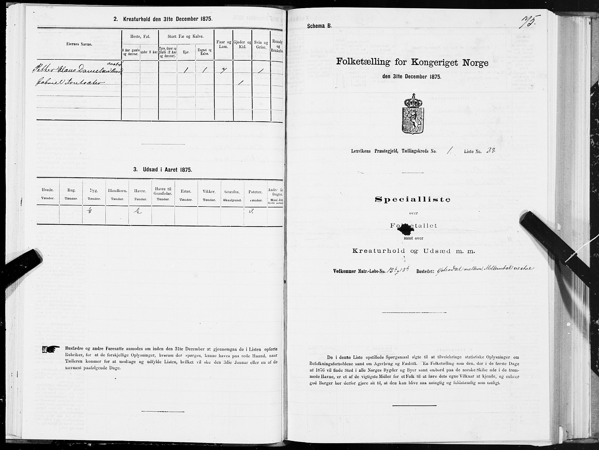 SAT, 1875 census for 1718P Leksvik, 1875, p. 1075