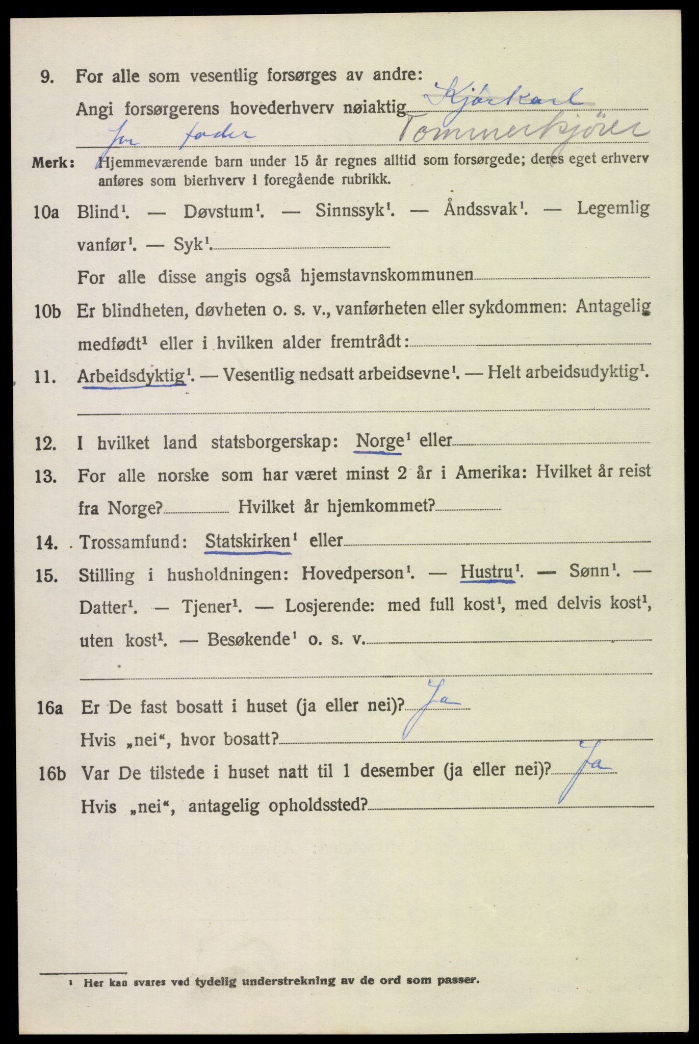 SAH, 1920 census for Trysil, 1920, p. 3104