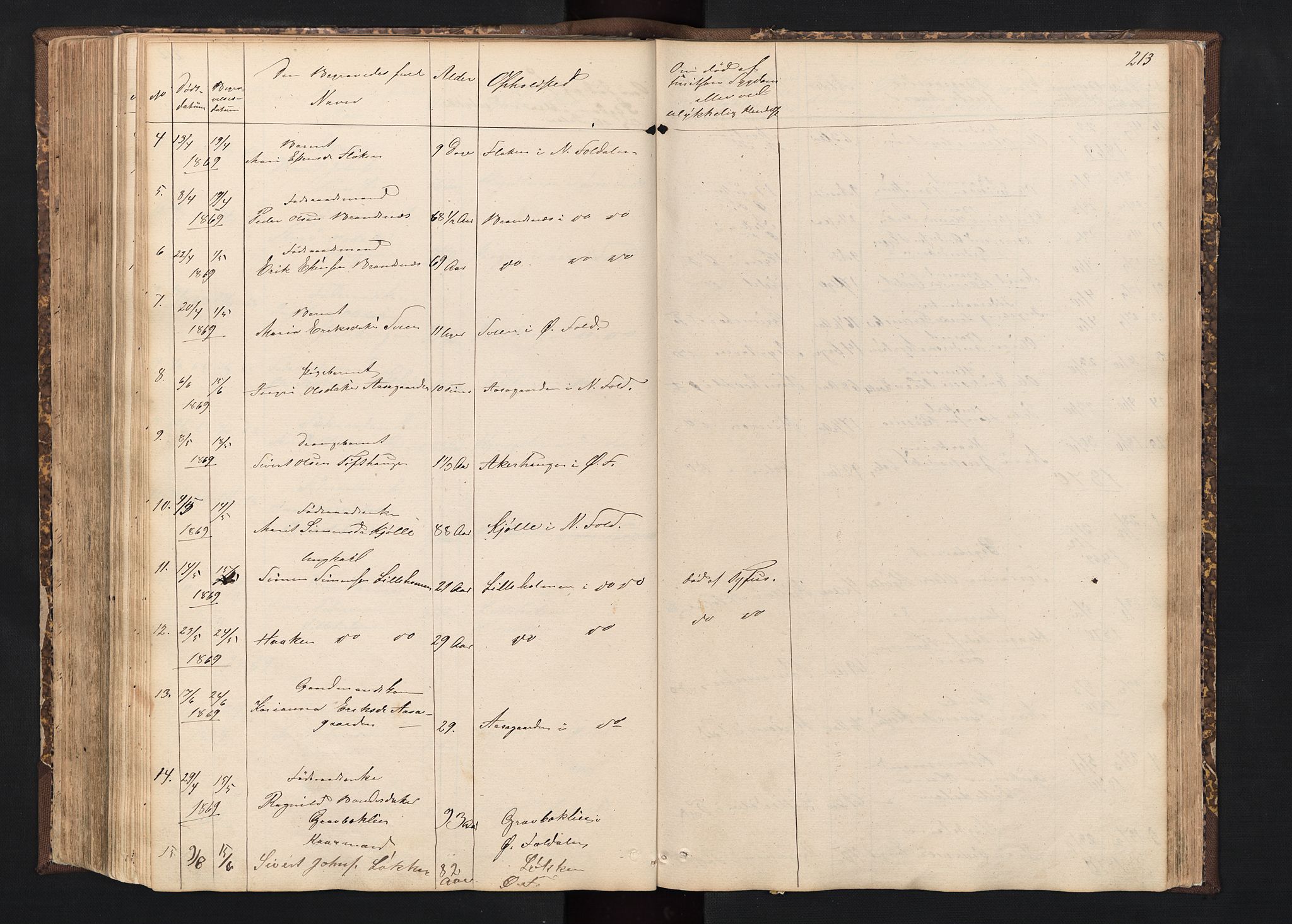 Alvdal prestekontor, AV/SAH-PREST-060/H/Ha/Hab/L0001: Parish register (copy) no. 1, 1857-1893, p. 213