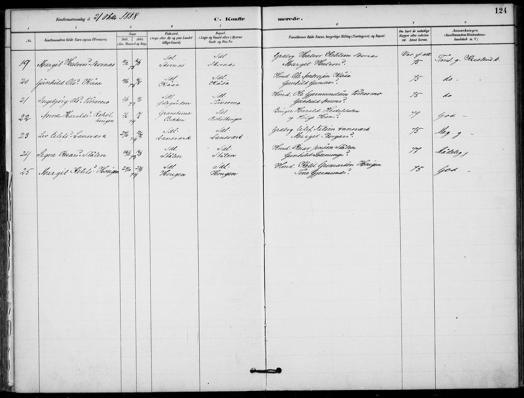 Hjartdal kirkebøker, SAKO/A-270/F/Fb/L0002: Parish register (official) no. II 2, 1880-1932, p. 124
