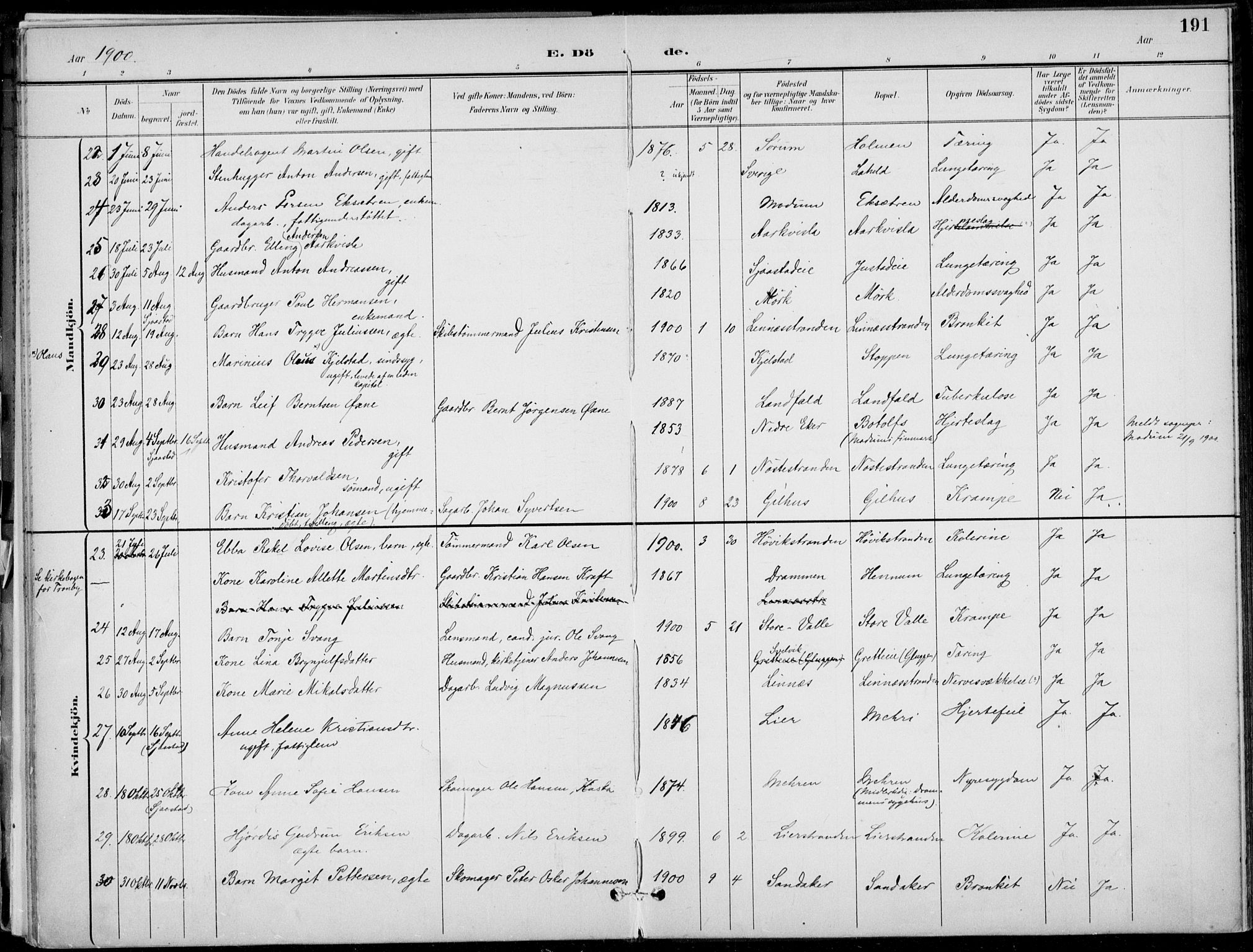 Lier kirkebøker, AV/SAKO-A-230/F/Fa/L0016: Parish register (official) no. I 16, 1895-1900, p. 191