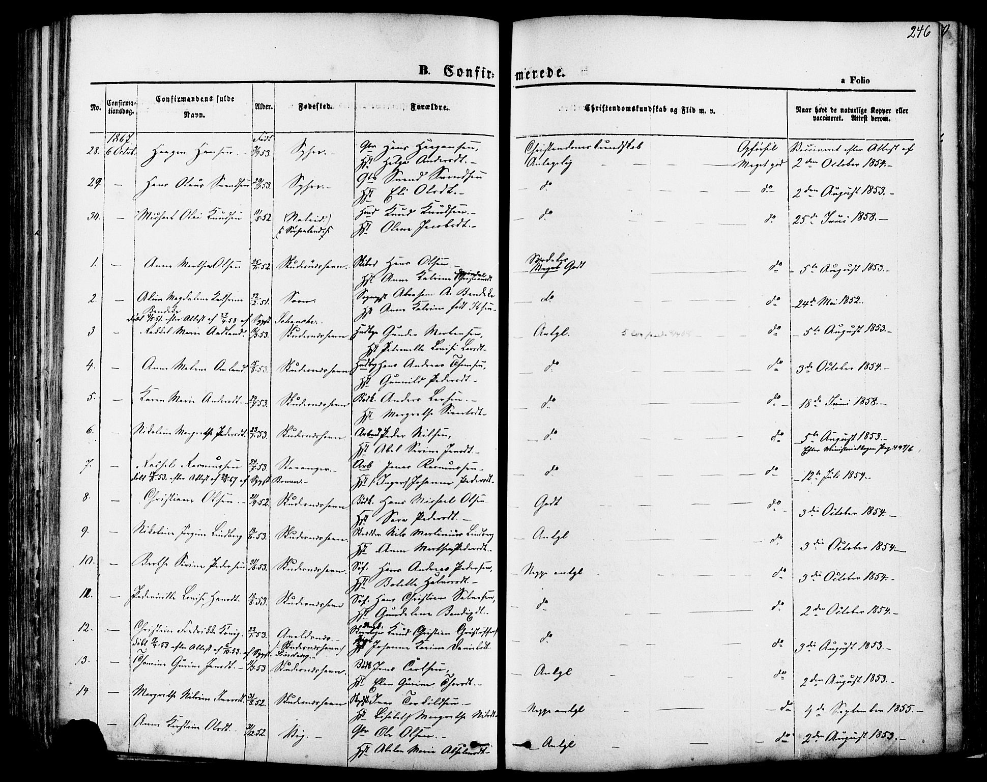 Skudenes sokneprestkontor, SAST/A -101849/H/Ha/Haa/L0006: Parish register (official) no. A 4, 1864-1881, p. 246