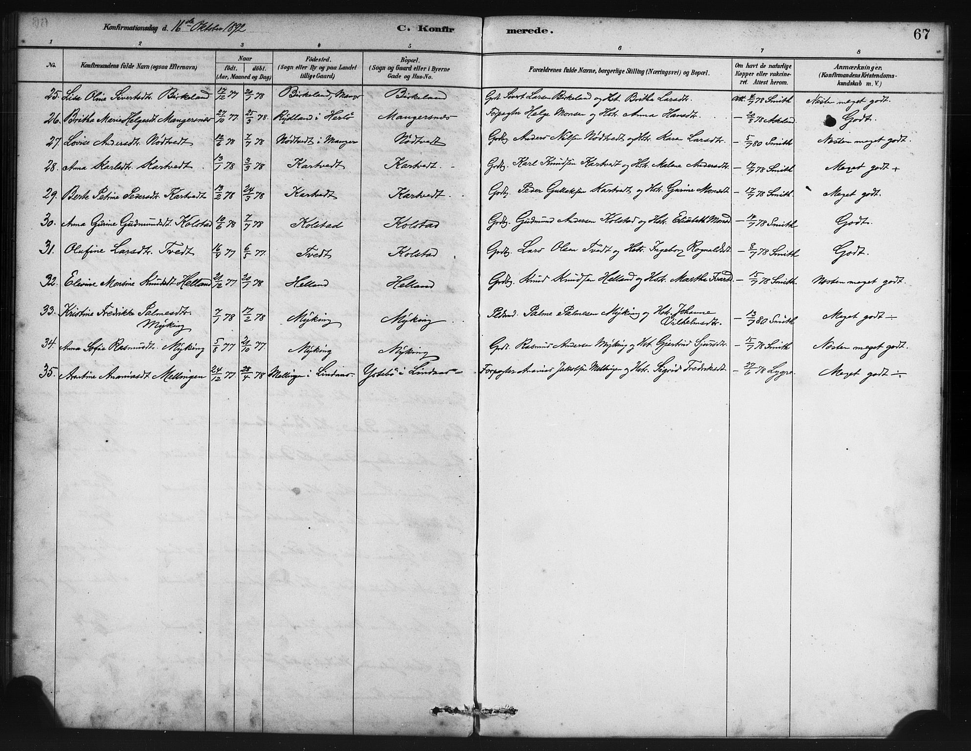 Manger sokneprestembete, SAB/A-76801/H/Haa: Parish register (official) no. B 1, 1881-1892, p. 67