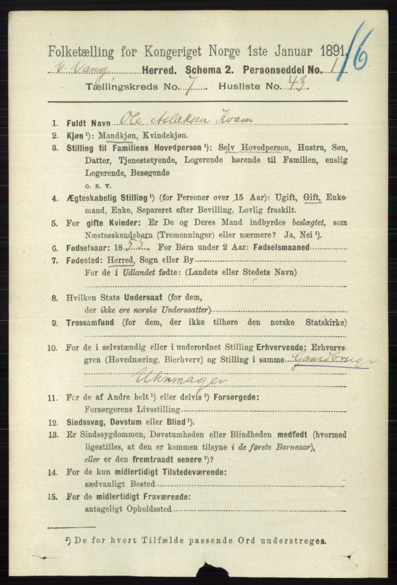 RA, 1891 census for 0545 Vang, 1891, p. 1691