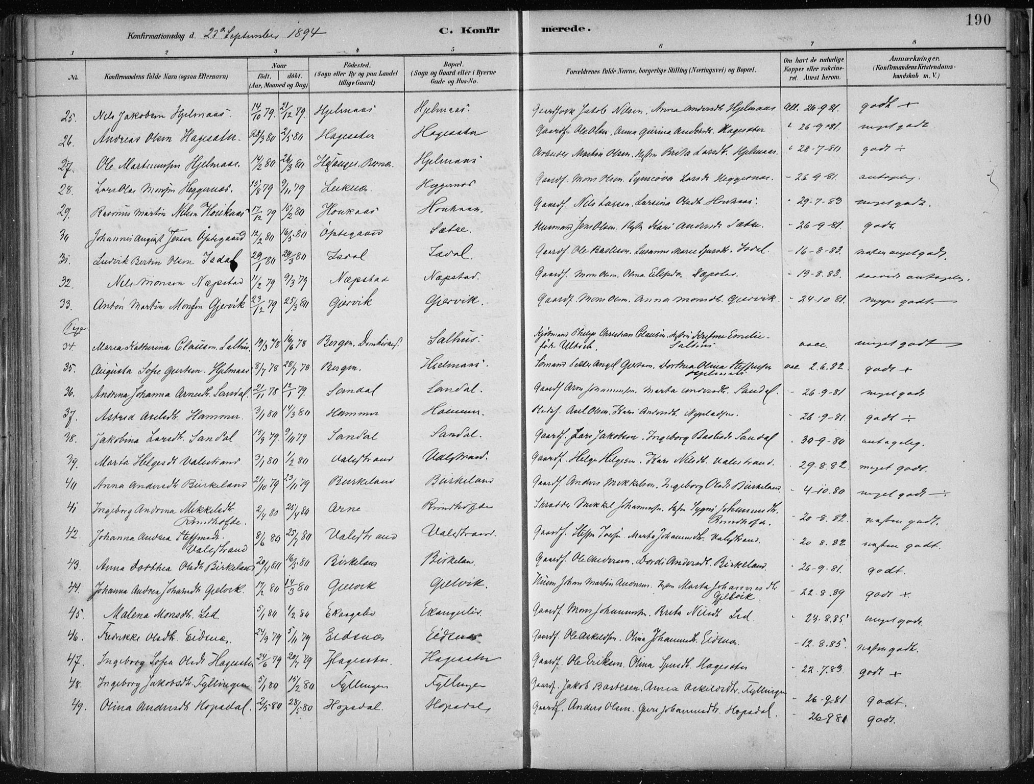 Hamre sokneprestembete, AV/SAB-A-75501/H/Ha/Haa/Haab/L0001: Parish register (official) no. B  1, 1882-1905, p. 190