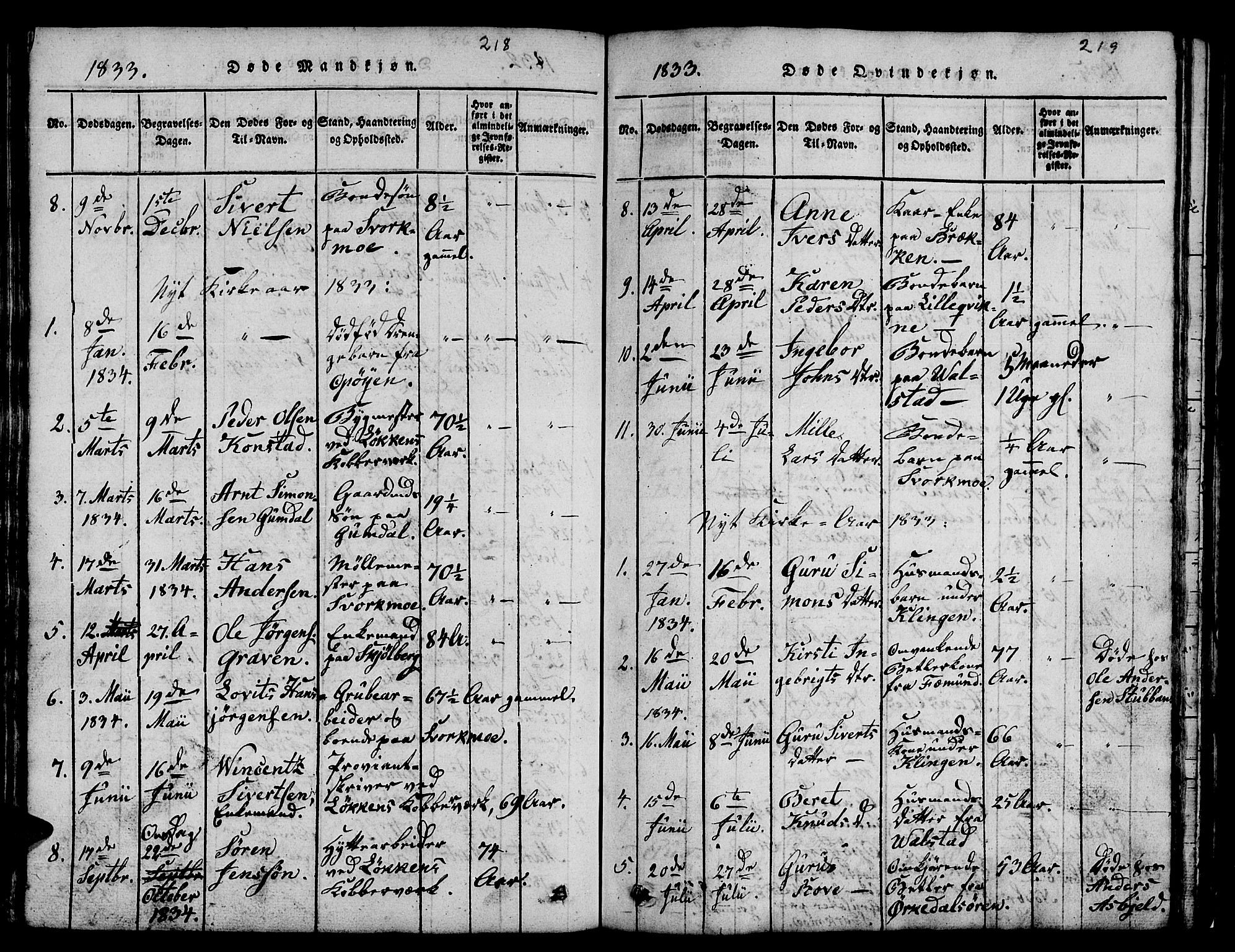 Ministerialprotokoller, klokkerbøker og fødselsregistre - Sør-Trøndelag, SAT/A-1456/671/L0842: Parish register (copy) no. 671C01, 1816-1867, p. 218-219