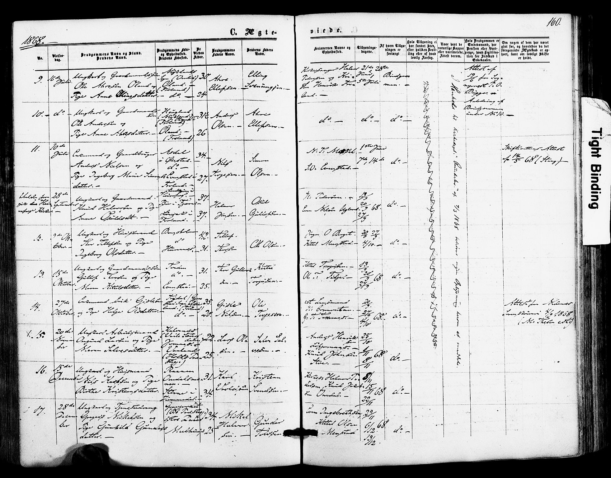 Froland sokneprestkontor, SAK/1111-0013/F/Fa/L0003: Parish register (official) no. A 3, 1864-1881, p. 160