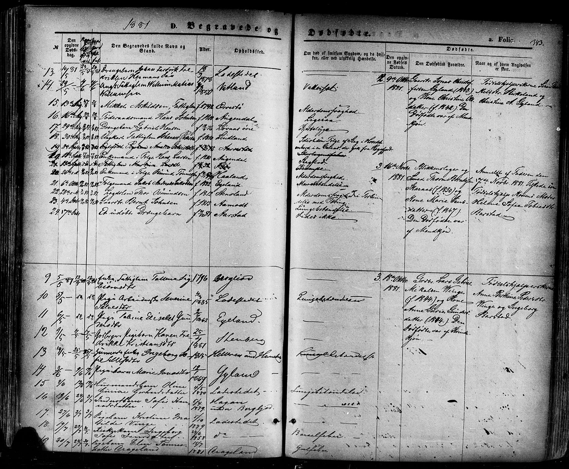 Sokndal sokneprestkontor, AV/SAST-A-101808: Parish register (official) no. A 10, 1874-1886, p. 343