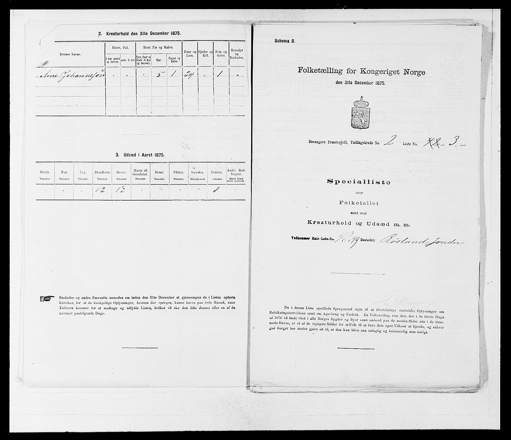 SAB, 1875 census for 1253P Hosanger, 1875, p. 157