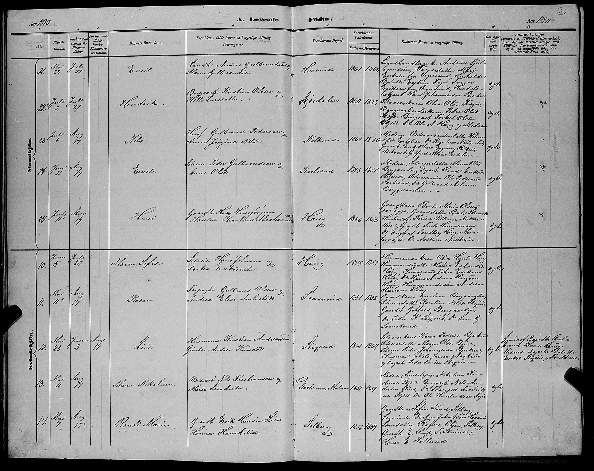 Hole kirkebøker, SAKO/A-228/G/Gb/L0003: Parish register (copy) no. II 3, 1890-1901, p. 5
