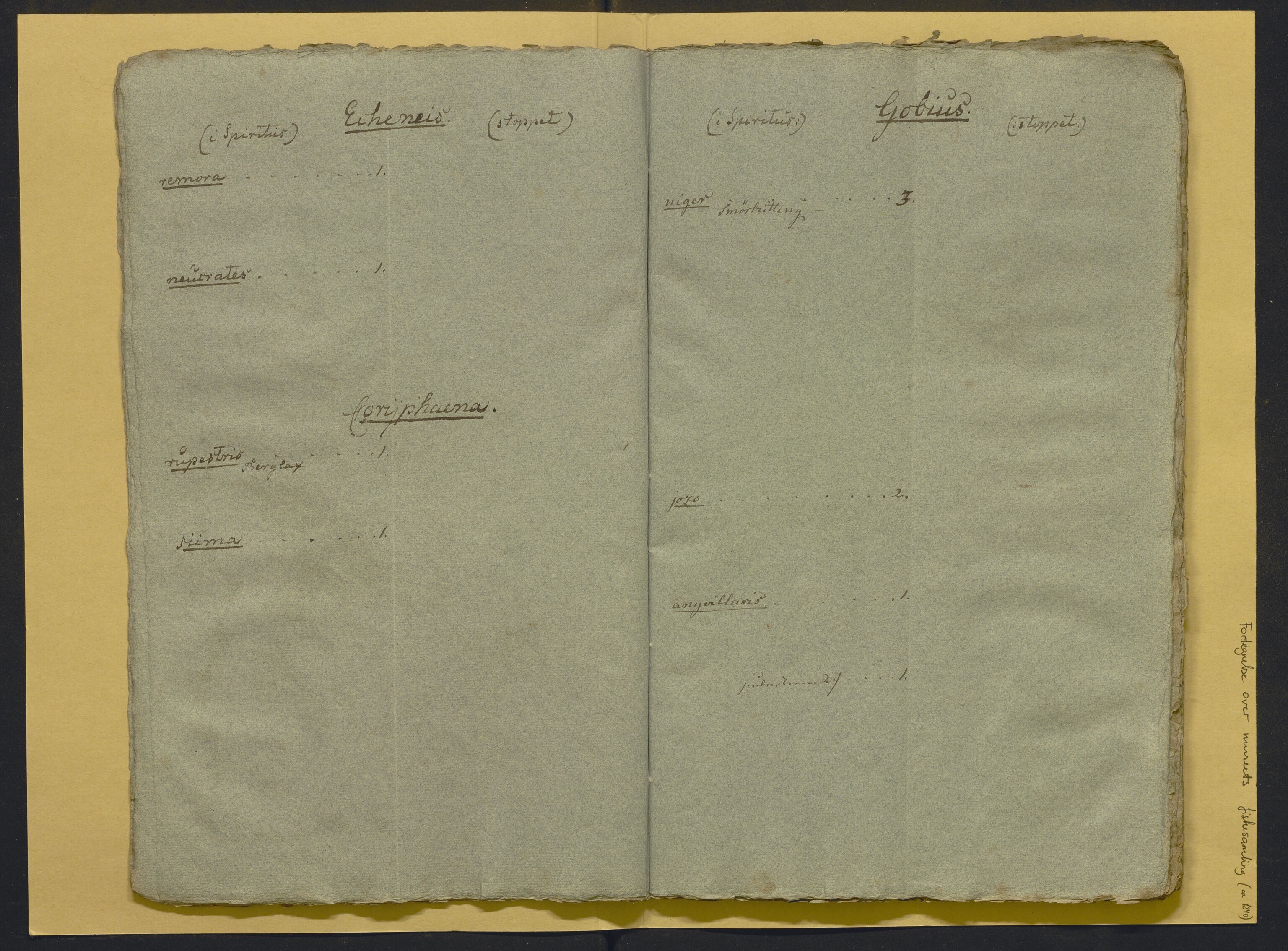 Bergens Museum, AV/SAB-A-17301/02/F/L0001: Kataloger over gjenstander og pergamentbrev , 1825-1880, p. 500
