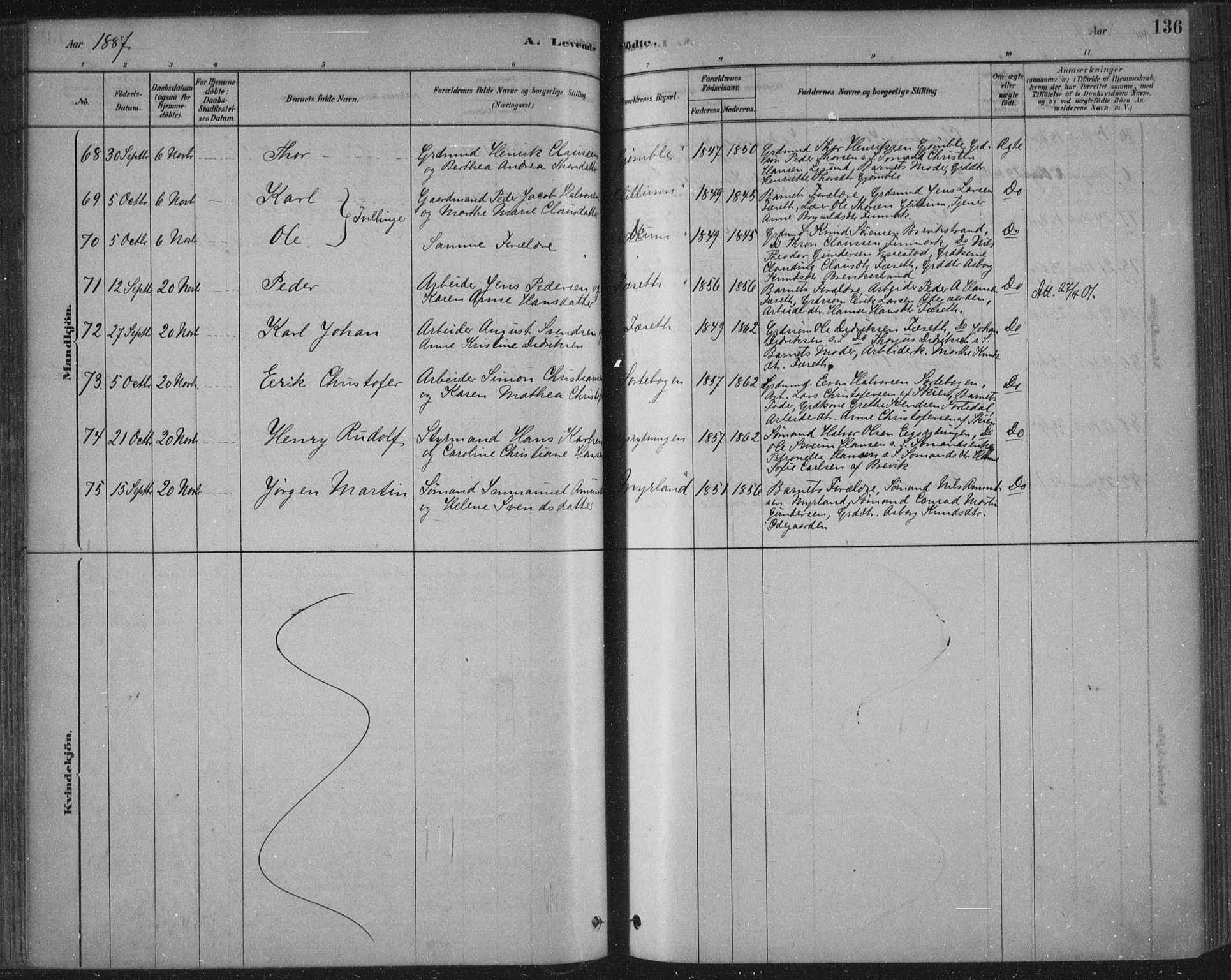 Bamble kirkebøker, AV/SAKO-A-253/F/Fa/L0007: Parish register (official) no. I 7, 1878-1888, p. 136