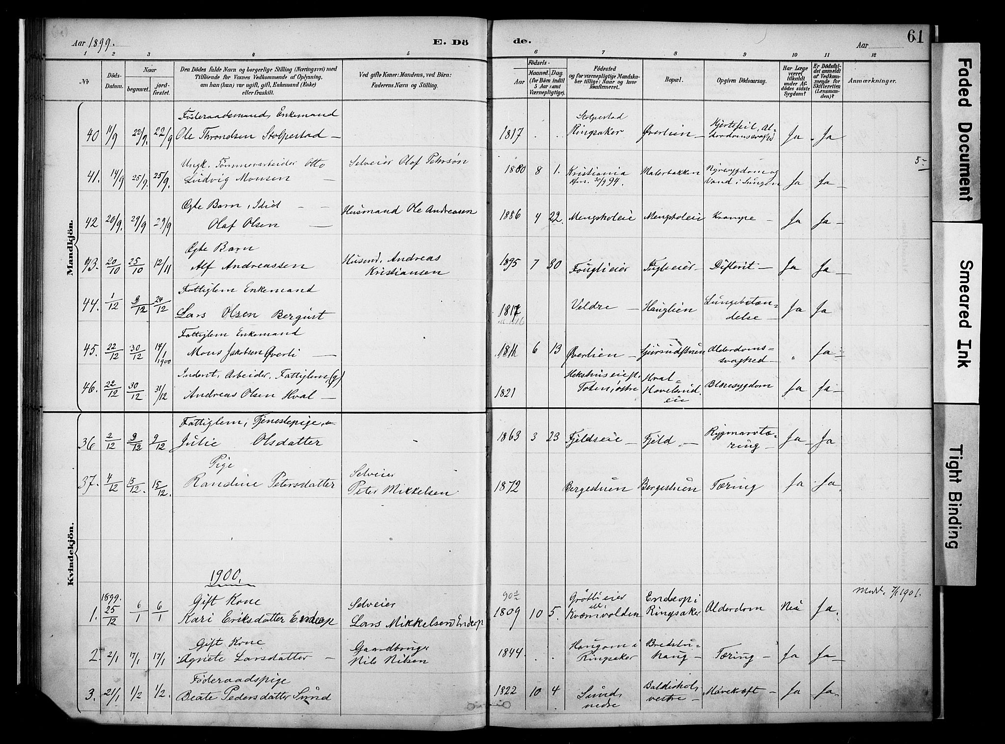 Nes prestekontor, Hedmark, AV/SAH-PREST-020/K/Ka/L0011: Parish register (official) no. 11, 1887-1905, p. 61