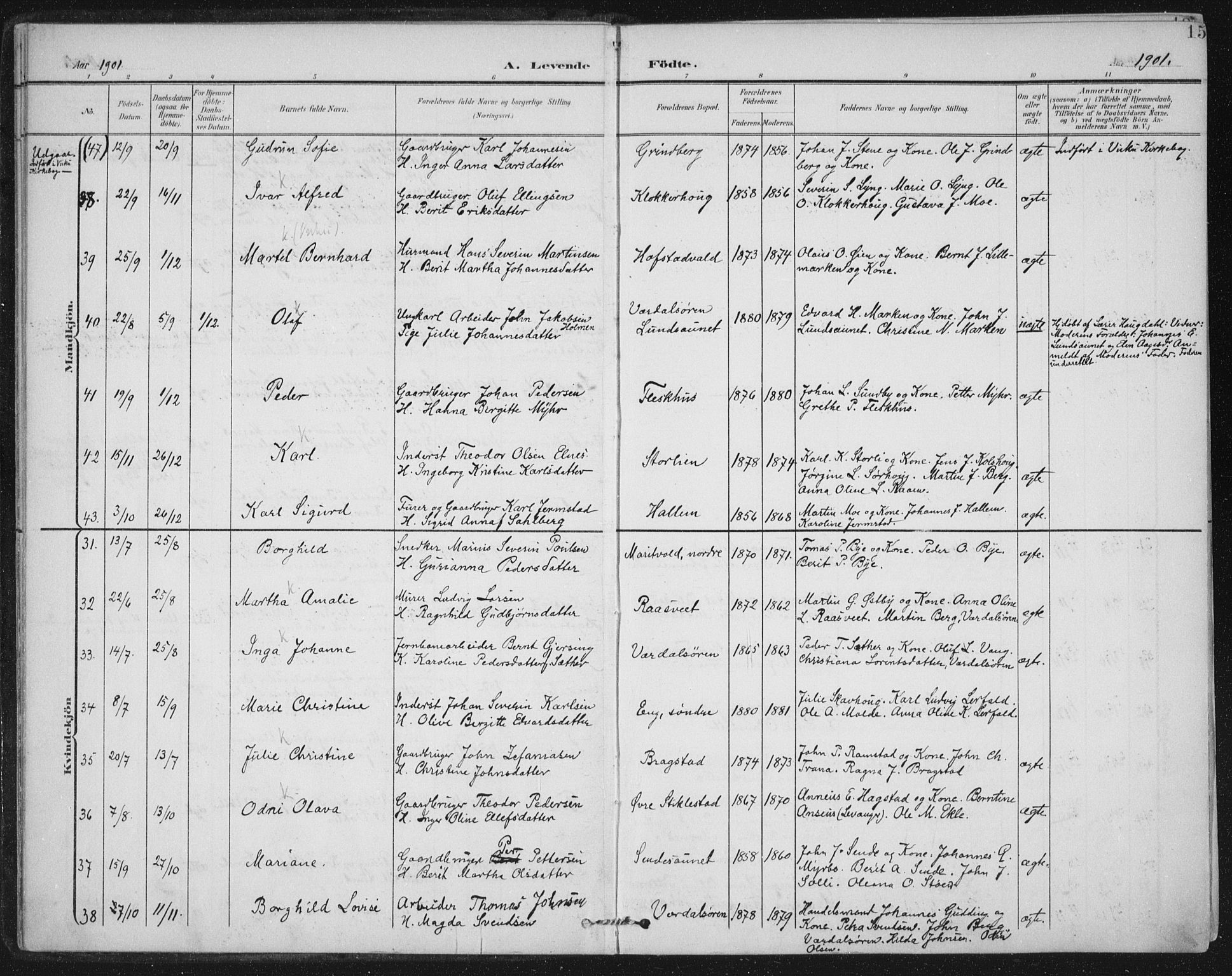 Ministerialprotokoller, klokkerbøker og fødselsregistre - Nord-Trøndelag, AV/SAT-A-1458/723/L0246: Parish register (official) no. 723A15, 1900-1917, p. 15