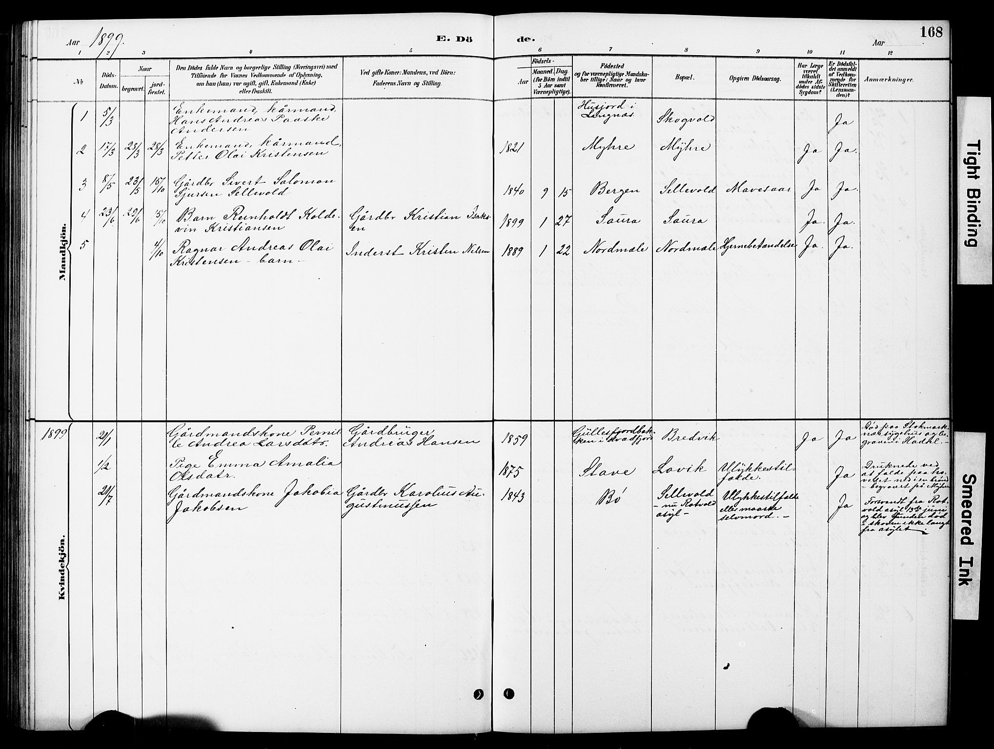 Ministerialprotokoller, klokkerbøker og fødselsregistre - Nordland, SAT/A-1459/897/L1413: Parish register (copy) no. 897C03, 1887-1903, p. 168