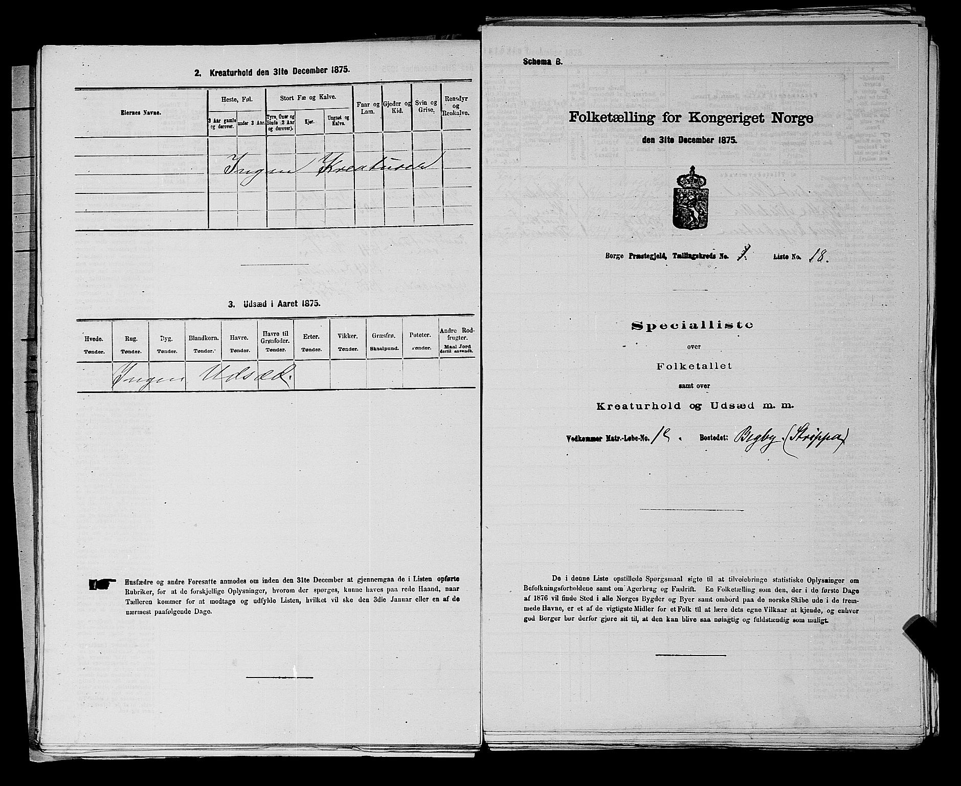 RA, 1875 census for 0113P Borge, 1875, p. 54