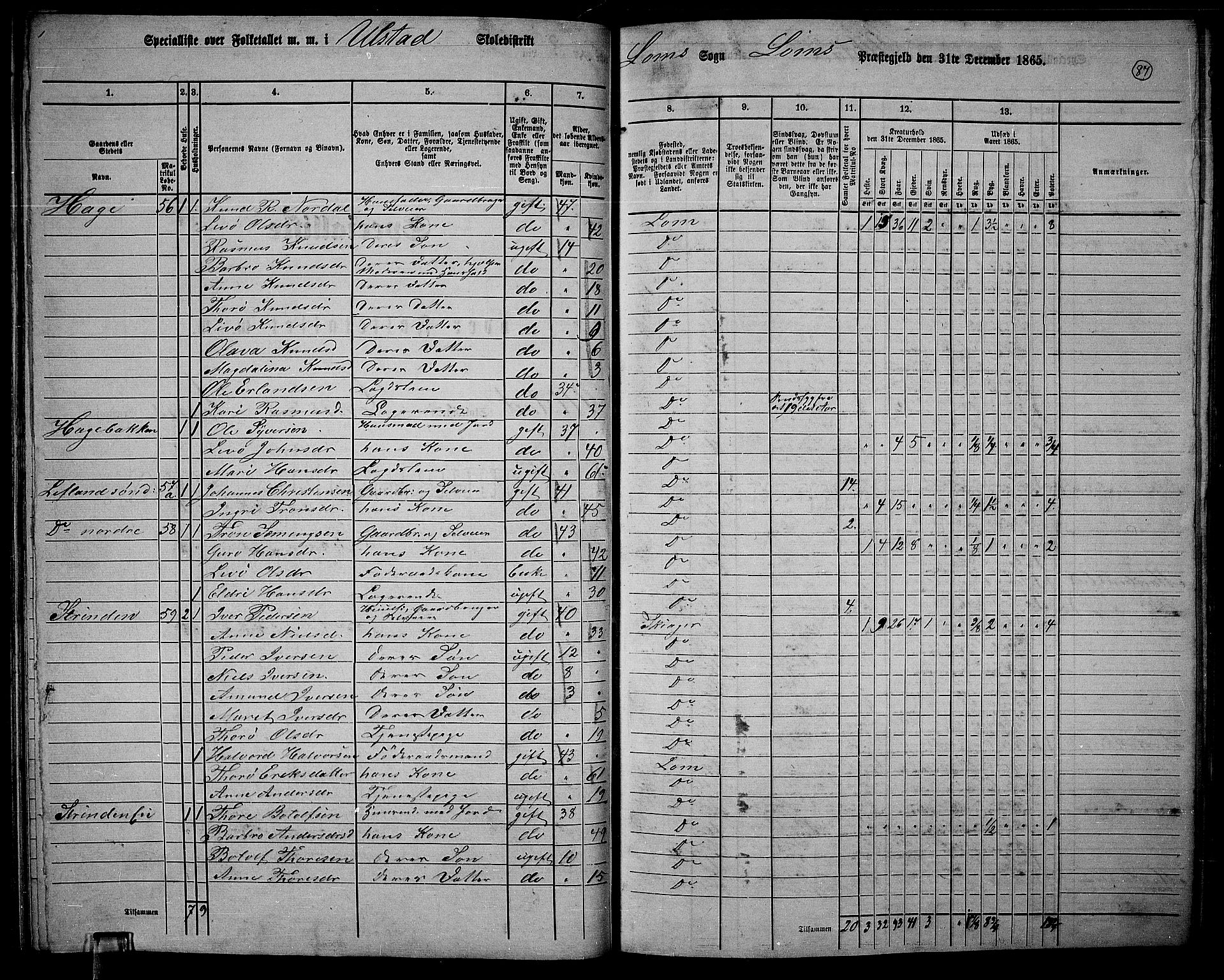 RA, 1865 census for Lom, 1865, p. 80