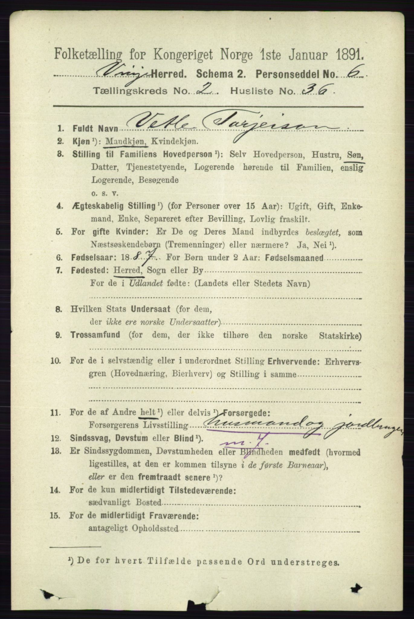 RA, 1891 census for 0834 Vinje, 1891, p. 597