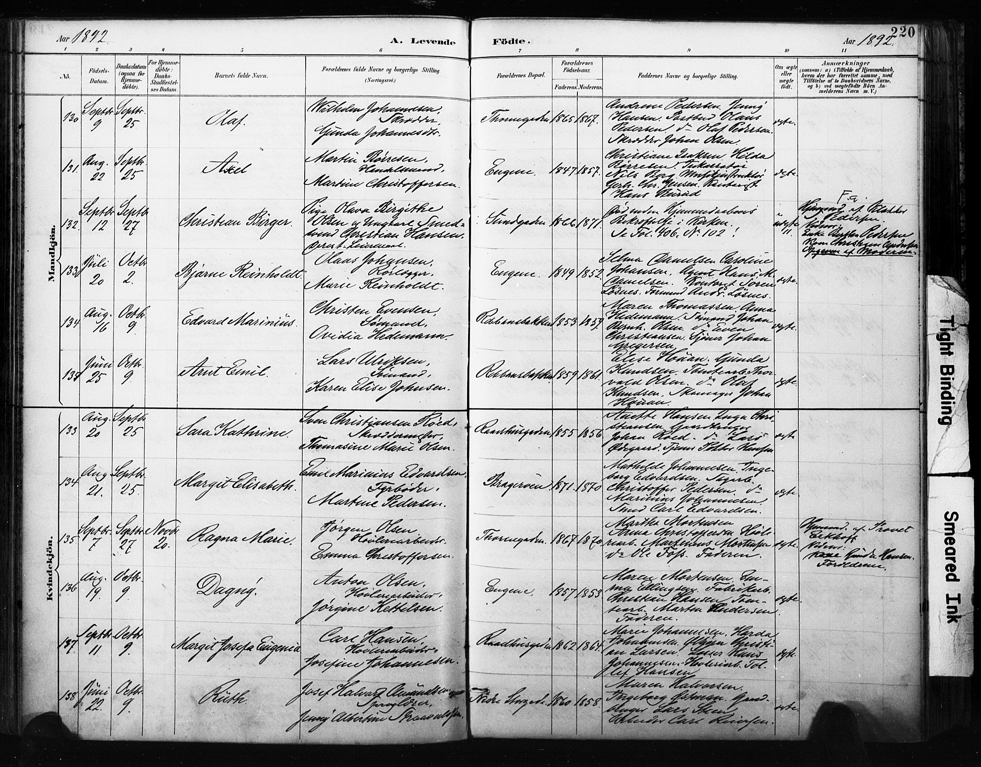 Bragernes kirkebøker, AV/SAKO-A-6/F/Fb/L0007: Parish register (official) no. II 7, 1885-1893, p. 220