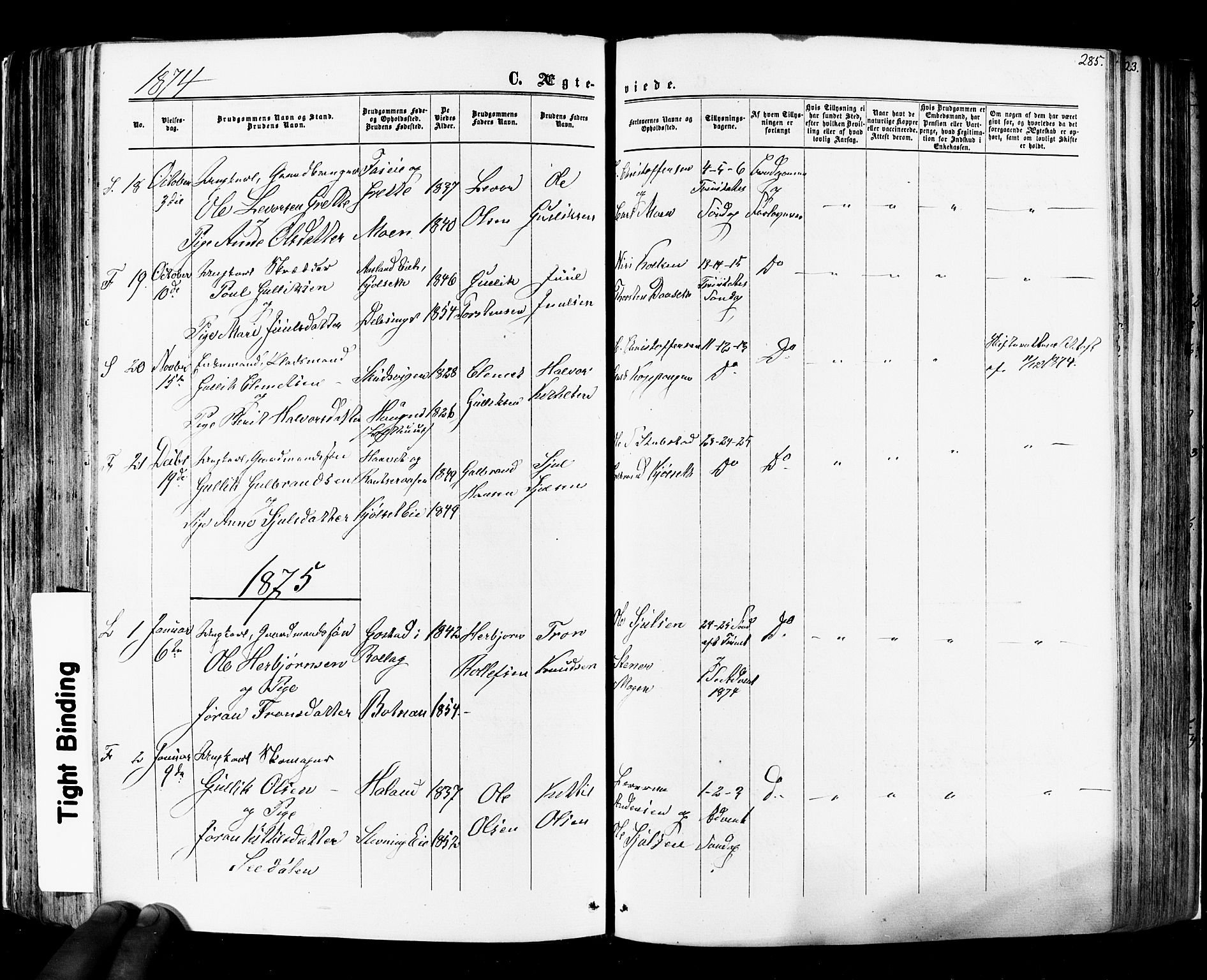 Flesberg kirkebøker, SAKO/A-18/F/Fa/L0007: Parish register (official) no. I 7, 1861-1878, p. 285